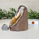 Extra Plus Quality Citrine Cluster w/ flat base, 4.1" Tall 5612 - 0199 - Brazil GemsBrazil GemsExtra Plus Quality Citrine Cluster w/ flat base, 4.1" Tall 5612 - 0199Small Clusters with Flat Bases5612 - 0199