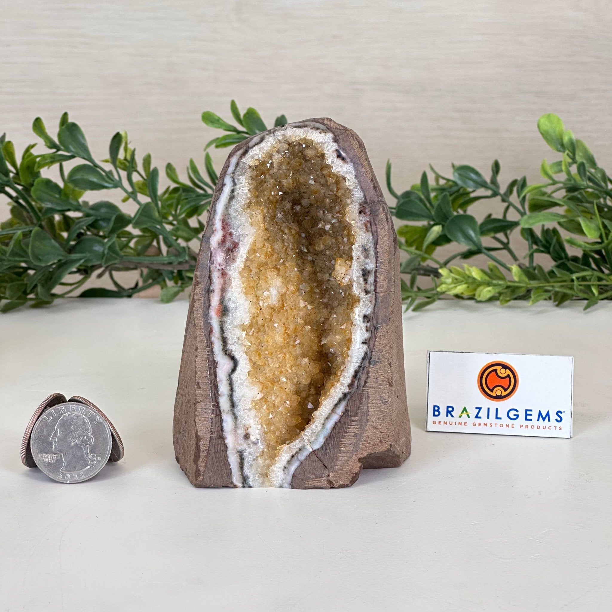 Extra Plus Quality Citrine Cluster w/ flat base, 4.1" Tall 5612 - 0212 - Brazil GemsBrazil GemsExtra Plus Quality Citrine Cluster w/ flat base, 4.1" Tall 5612 - 0212Small Clusters with Flat Bases5612 - 0212