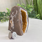 Extra Plus Quality Citrine Cluster w/ flat base, 4.2" Tall 5612 - 0226 - Brazil GemsBrazil GemsExtra Plus Quality Citrine Cluster w/ flat base, 4.2" Tall 5612 - 0226Small Clusters with Flat Bases5612 - 0226