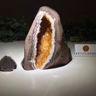 Extra Plus Quality Citrine Cluster w/ flat base, 4.2" Tall 5612 - 0226 - Brazil GemsBrazil GemsExtra Plus Quality Citrine Cluster w/ flat base, 4.2" Tall 5612 - 0226Small Clusters with Flat Bases5612 - 0226