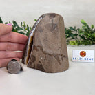 Extra Plus Quality Citrine Cluster w/ flat base, 4.2" Tall 5612 - 0226 - Brazil GemsBrazil GemsExtra Plus Quality Citrine Cluster w/ flat base, 4.2" Tall 5612 - 0226Small Clusters with Flat Bases5612 - 0226