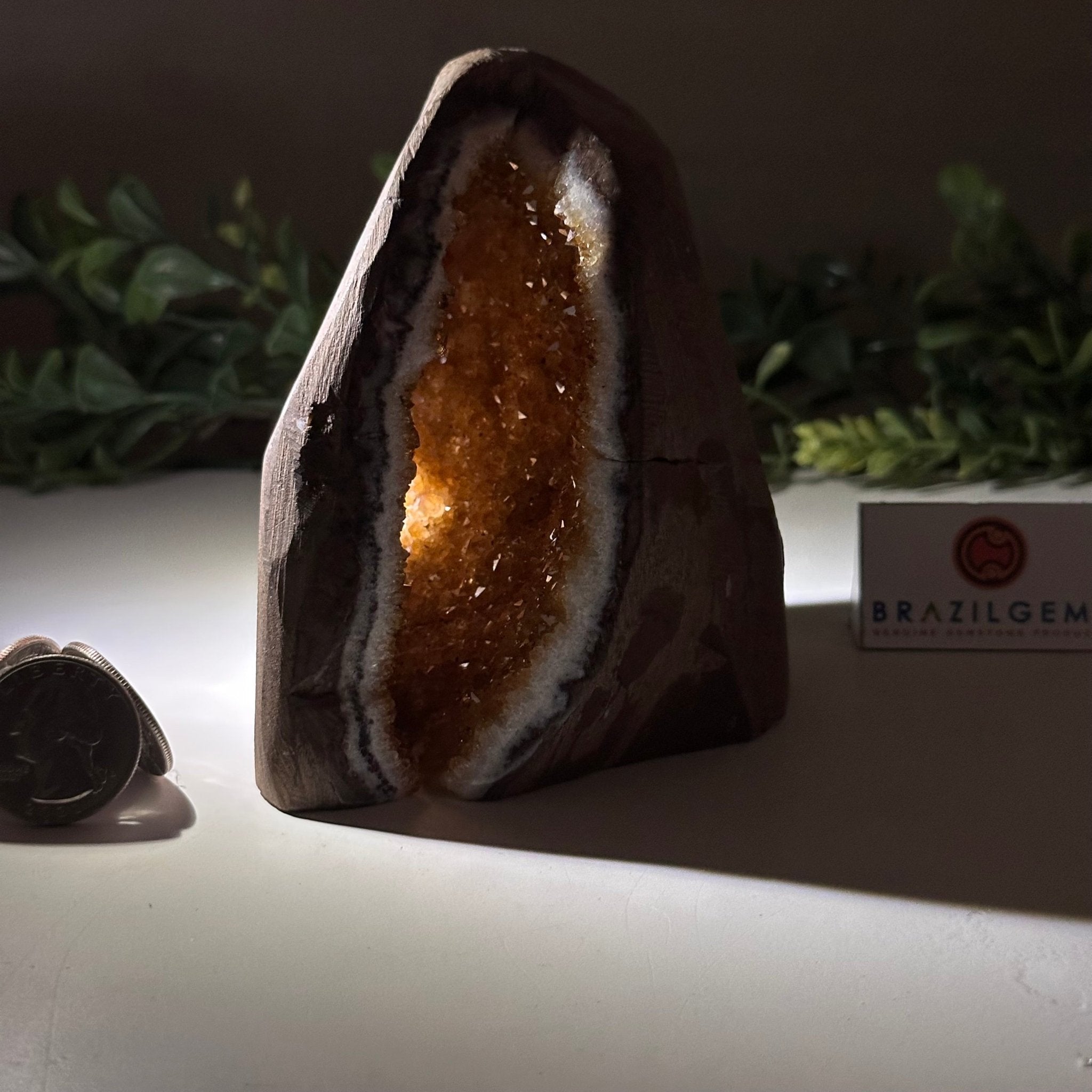 Extra Plus Quality Citrine Cluster w/ flat base, 4.2" Tall 5612 - 0226 - Brazil GemsBrazil GemsExtra Plus Quality Citrine Cluster w/ flat base, 4.2" Tall 5612 - 0226Small Clusters with Flat Bases5612 - 0226