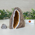 Extra Plus Quality Citrine Cluster w/ flat base, 4.2" Tall 5612 - 0226 - Brazil GemsBrazil GemsExtra Plus Quality Citrine Cluster w/ flat base, 4.2" Tall 5612 - 0226Small Clusters with Flat Bases5612 - 0226