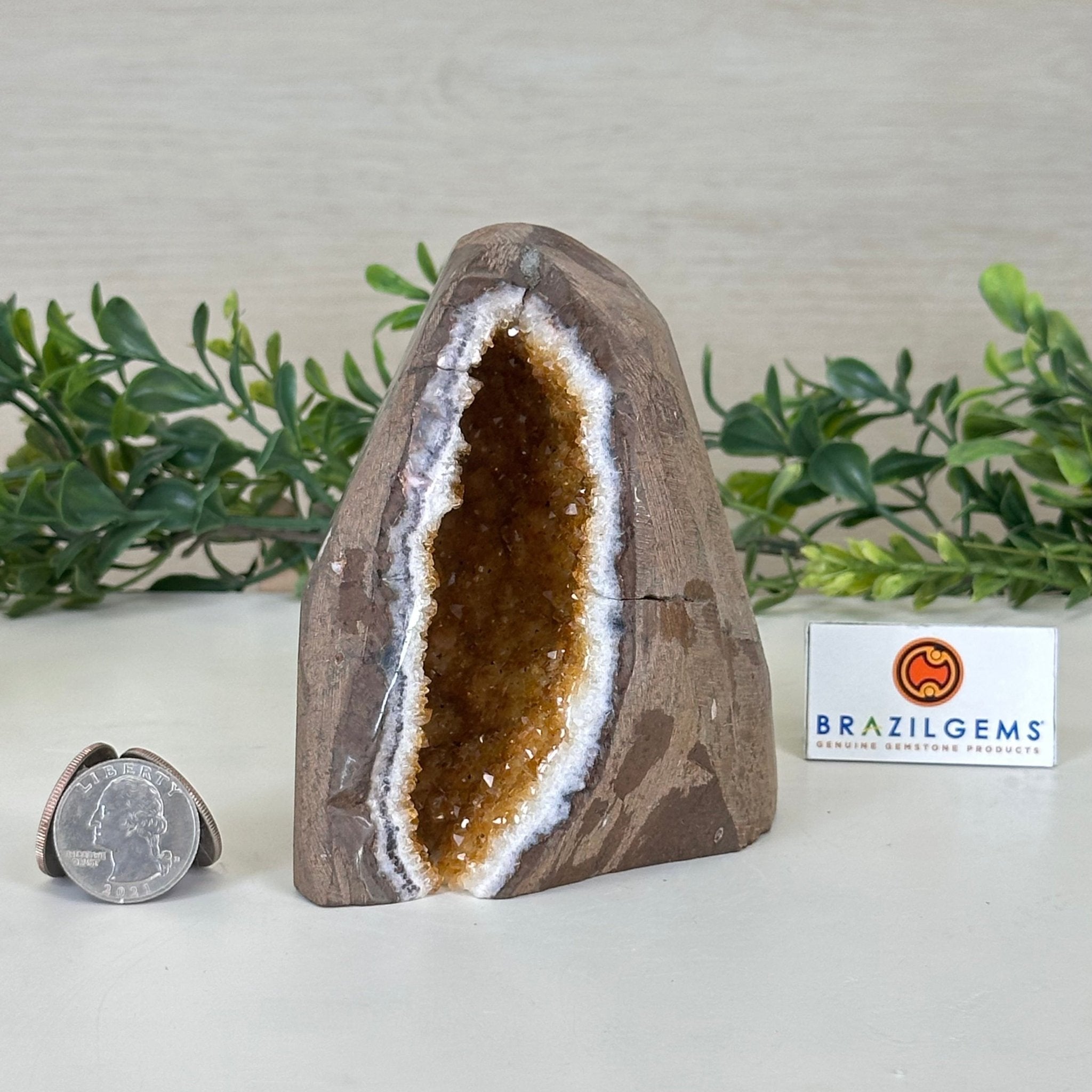 Extra Plus Quality Citrine Cluster w/ flat base, 4.2" Tall 5612 - 0226 - Brazil GemsBrazil GemsExtra Plus Quality Citrine Cluster w/ flat base, 4.2" Tall 5612 - 0226Small Clusters with Flat Bases5612 - 0226