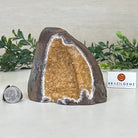 Extra Plus Quality Citrine Cluster w/ flat base, 4.2" Tall 5612 - 0240 - Brazil GemsBrazil GemsExtra Plus Quality Citrine Cluster w/ flat base, 4.2" Tall 5612 - 0240Small Clusters with Flat Bases5612 - 0240