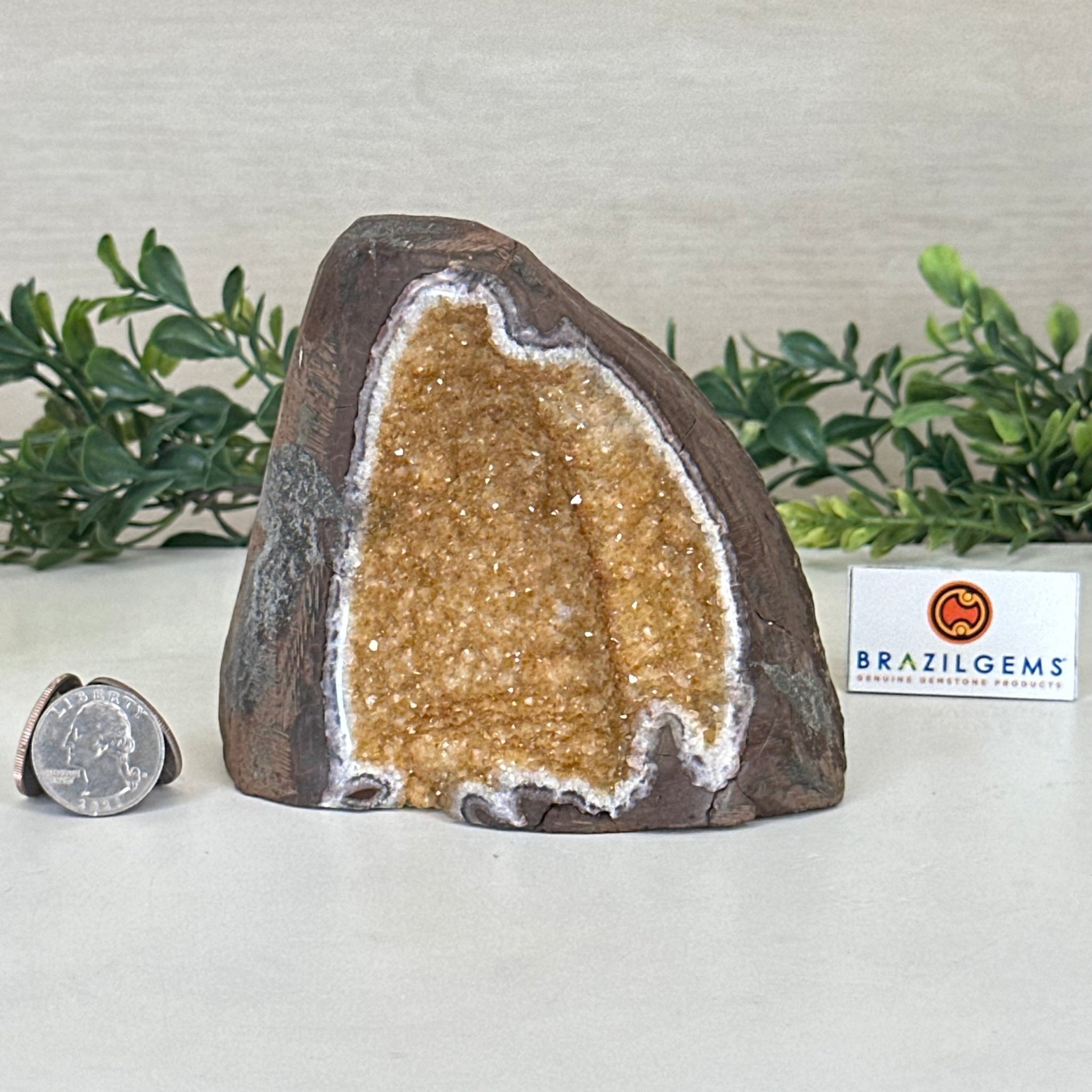 Extra Plus Quality Citrine Cluster w/ flat base, 4.2" Tall 5612 - 0240 - Brazil GemsBrazil GemsExtra Plus Quality Citrine Cluster w/ flat base, 4.2" Tall 5612 - 0240Small Clusters with Flat Bases5612 - 0240