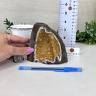 Extra Plus Quality Citrine Cluster w/ flat base, 4.2" Tall 5612 - 0240 - Brazil GemsBrazil GemsExtra Plus Quality Citrine Cluster w/ flat base, 4.2" Tall 5612 - 0240Small Clusters with Flat Bases5612 - 0240