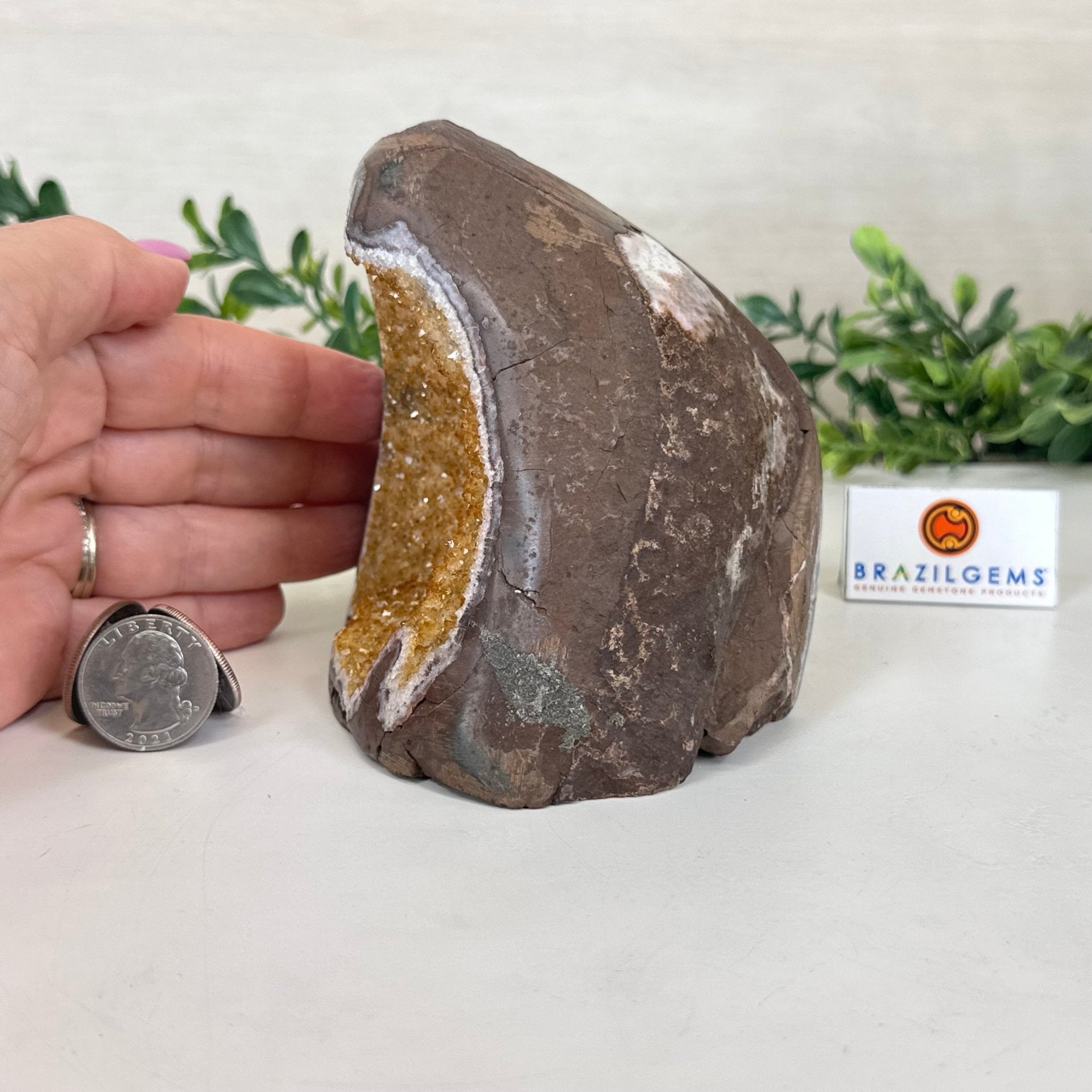 Extra Plus Quality Citrine Cluster w/ flat base, 4.2" Tall 5612 - 0240 - Brazil GemsBrazil GemsExtra Plus Quality Citrine Cluster w/ flat base, 4.2" Tall 5612 - 0240Small Clusters with Flat Bases5612 - 0240