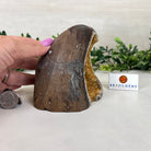 Extra Plus Quality Citrine Cluster w/ flat base, 4.2" Tall 5612 - 0240 - Brazil GemsBrazil GemsExtra Plus Quality Citrine Cluster w/ flat base, 4.2" Tall 5612 - 0240Small Clusters with Flat Bases5612 - 0240