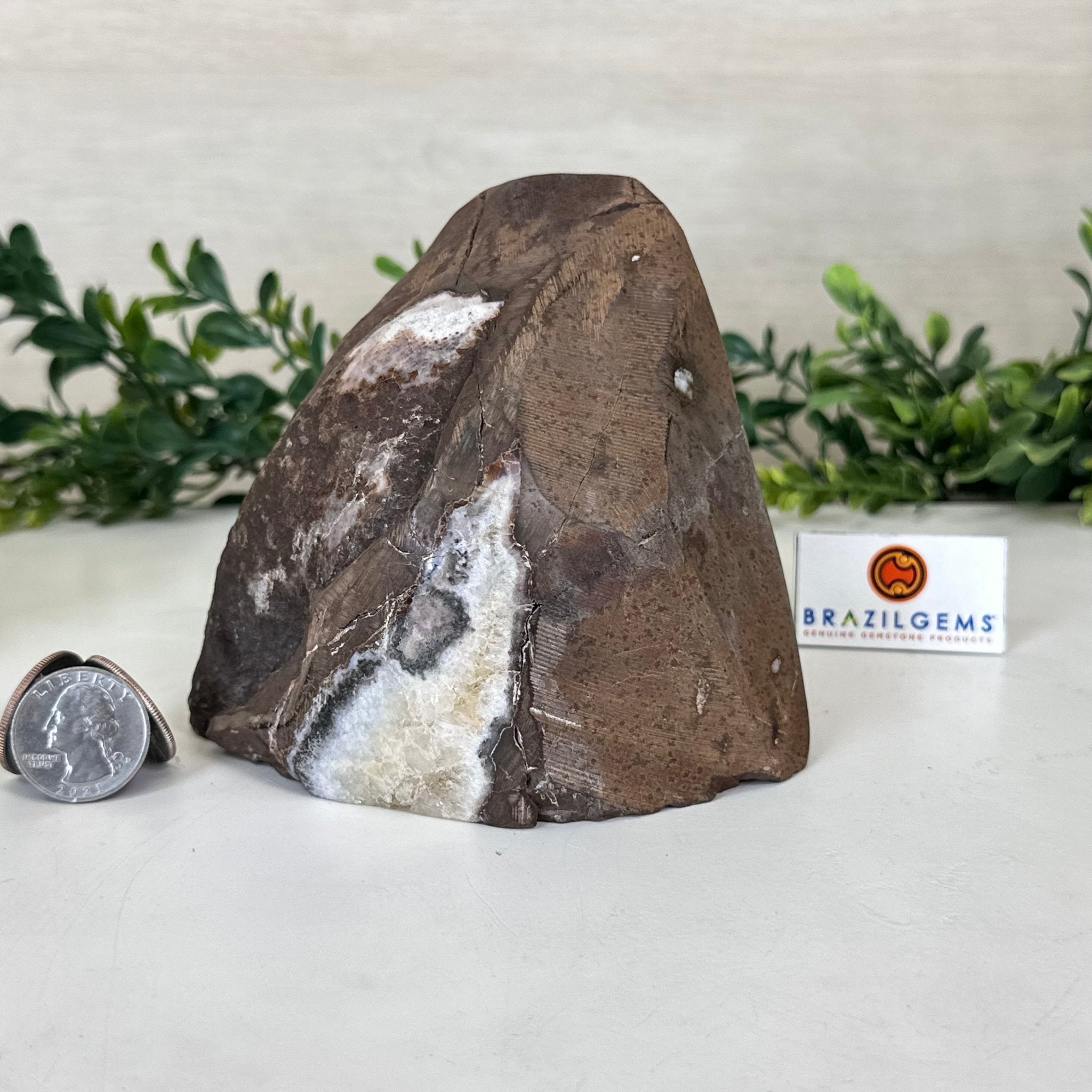 Extra Plus Quality Citrine Cluster w/ flat base, 4.2" Tall 5612 - 0240 - Brazil GemsBrazil GemsExtra Plus Quality Citrine Cluster w/ flat base, 4.2" Tall 5612 - 0240Small Clusters with Flat Bases5612 - 0240