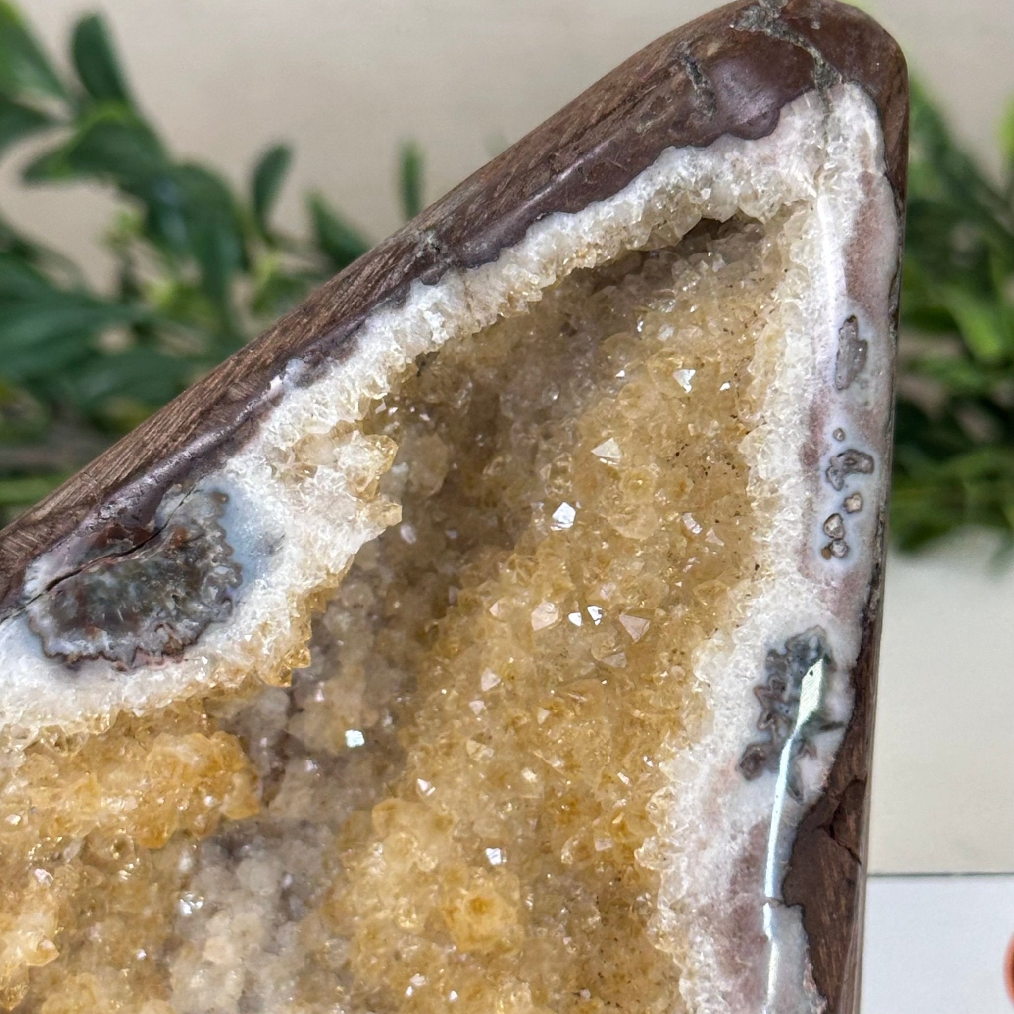 Extra Plus Quality Citrine Cluster w/ flat base, 4.5" Tall 5612 - 0221 - Brazil GemsBrazil GemsExtra Plus Quality Citrine Cluster w/ flat base, 4.5" Tall 5612 - 0221Small Clusters with Flat Bases5612 - 0221