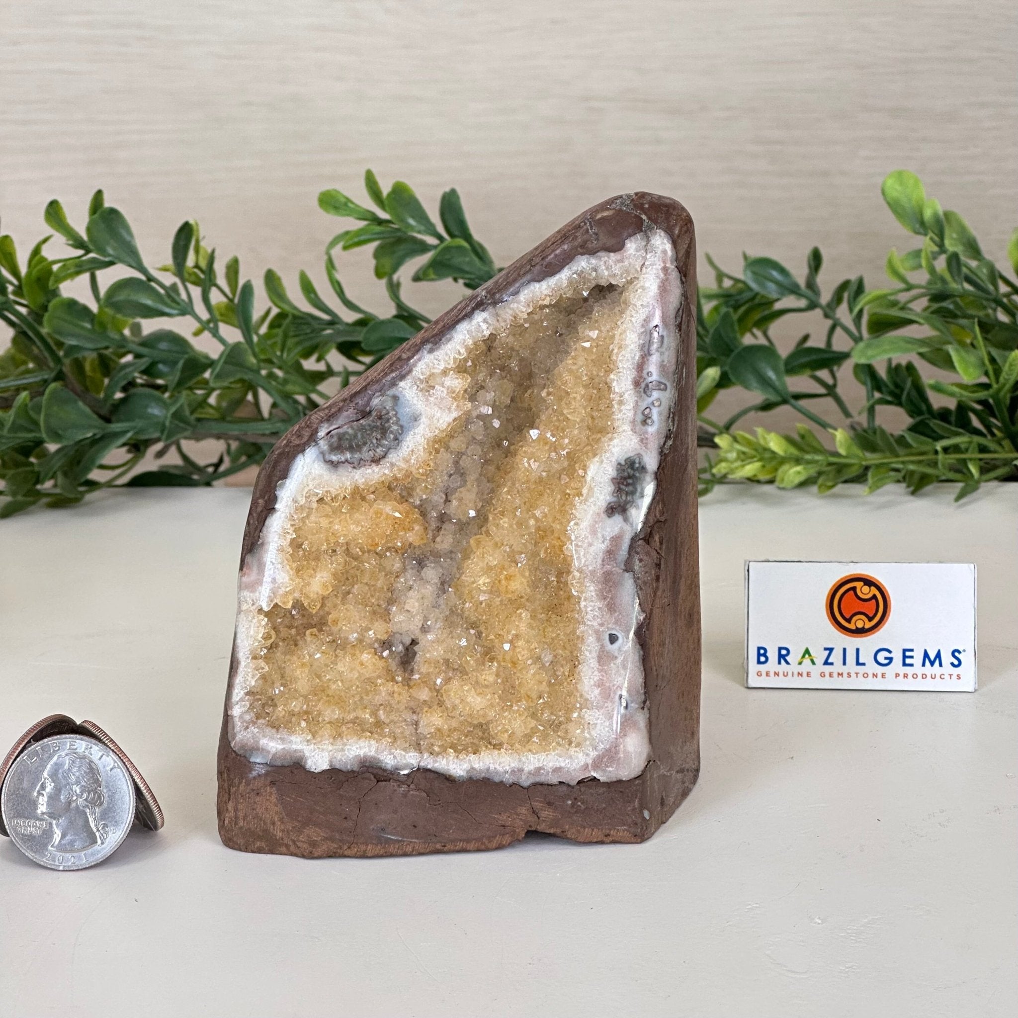 Extra Plus Quality Citrine Cluster w/ flat base, 4.5" Tall 5612 - 0221 - Brazil GemsBrazil GemsExtra Plus Quality Citrine Cluster w/ flat base, 4.5" Tall 5612 - 0221Small Clusters with Flat Bases5612 - 0221