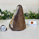 Extra Plus Quality Citrine Cluster w/ flat base, 4.5" Tall 5612 - 0221 - Brazil GemsBrazil GemsExtra Plus Quality Citrine Cluster w/ flat base, 4.5" Tall 5612 - 0221Small Clusters with Flat Bases5612 - 0221