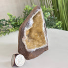 Extra Plus Quality Citrine Cluster w/ flat base, 4.5" Tall 5612 - 0221 - Brazil GemsBrazil GemsExtra Plus Quality Citrine Cluster w/ flat base, 4.5" Tall 5612 - 0221Small Clusters with Flat Bases5612 - 0221