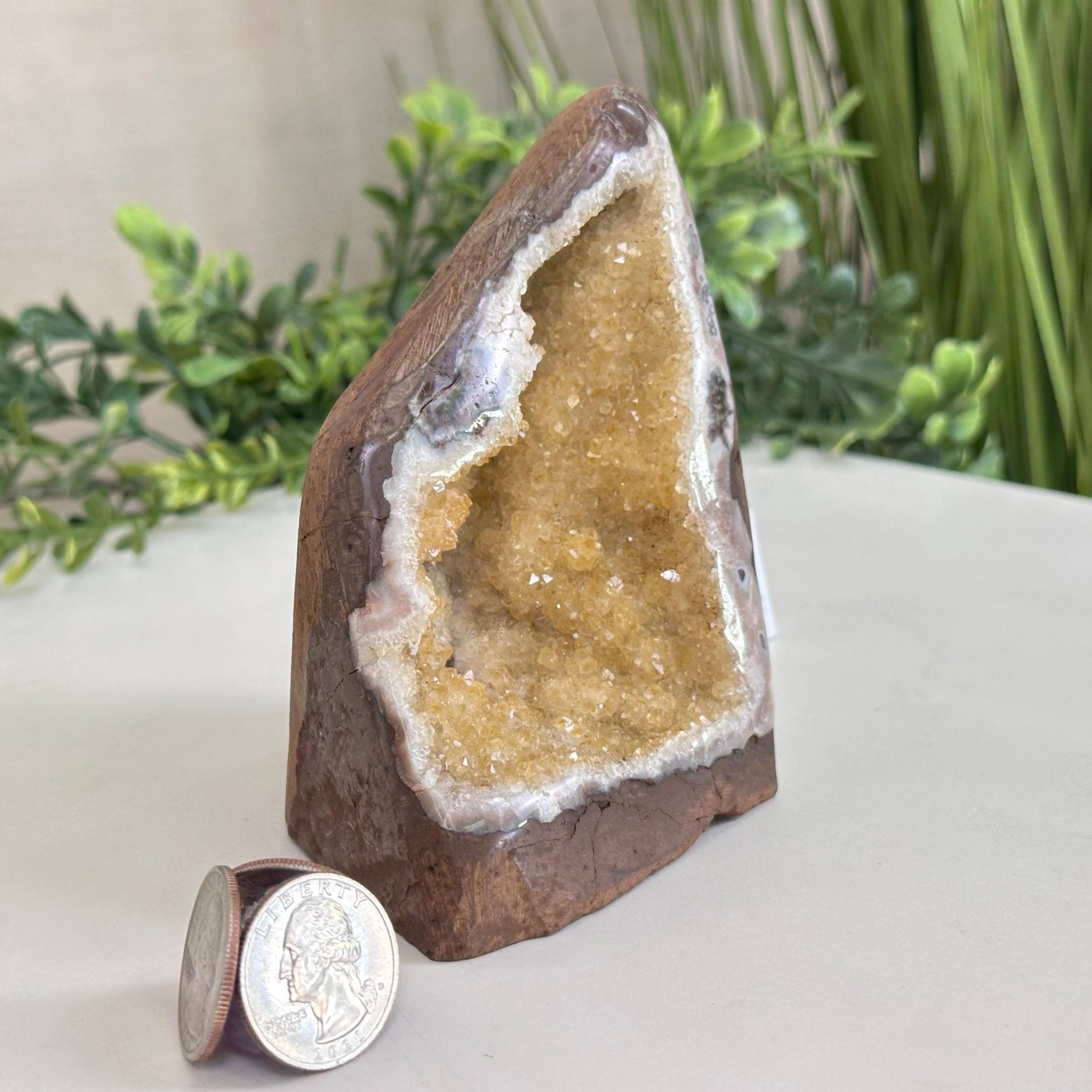 Extra Plus Quality Citrine Cluster w/ flat base, 4.5" Tall 5612 - 0221 - Brazil GemsBrazil GemsExtra Plus Quality Citrine Cluster w/ flat base, 4.5" Tall 5612 - 0221Small Clusters with Flat Bases5612 - 0221