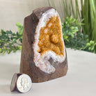 Extra Plus Quality Citrine Cluster w/ flat base, 4.5" Tall 5612 - 0230 - Brazil GemsBrazil GemsExtra Plus Quality Citrine Cluster w/ flat base, 4.5" Tall 5612 - 0230Small Clusters with Flat Bases5612 - 0230