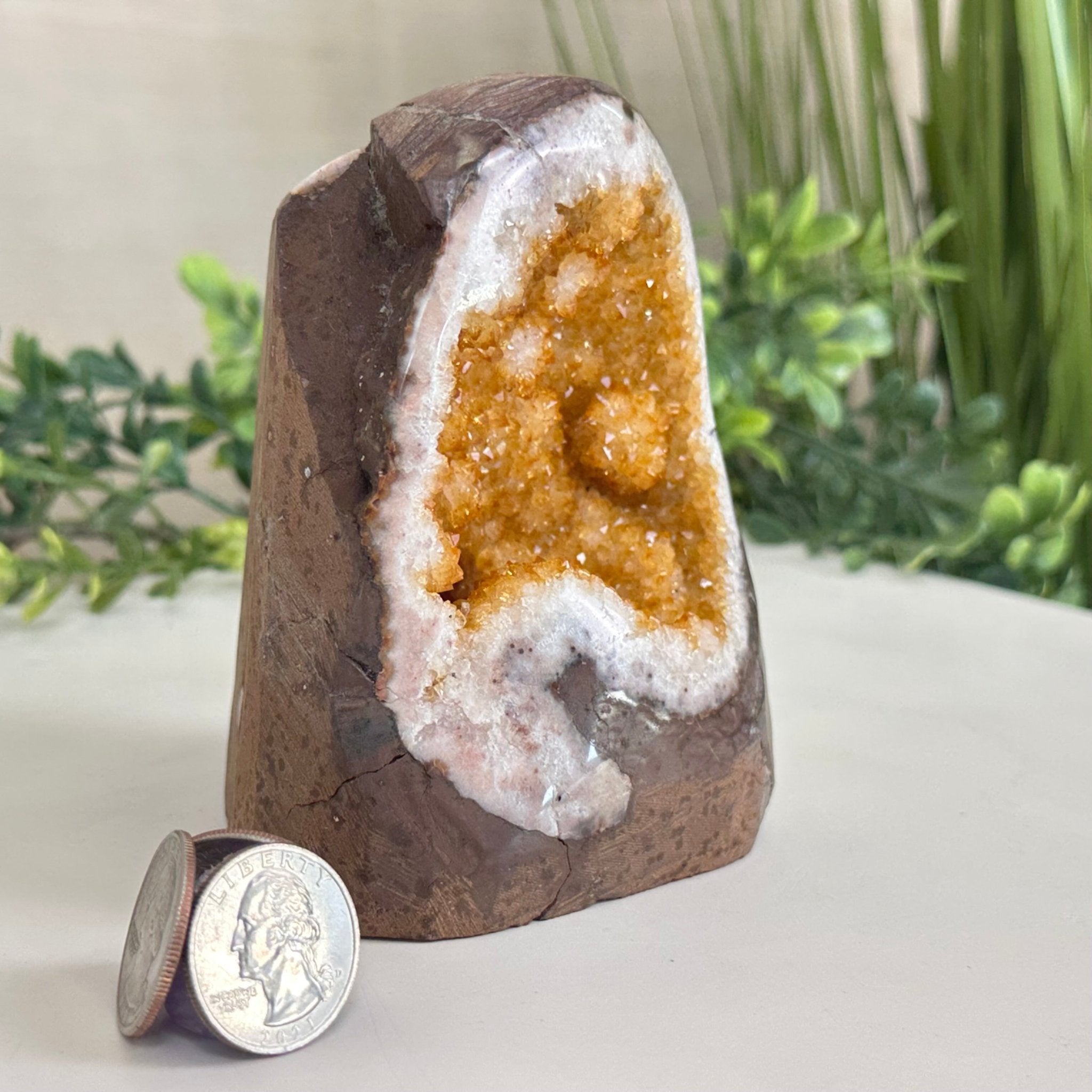 Extra Plus Quality Citrine Cluster w/ flat base, 4.5" Tall 5612 - 0230 - Brazil GemsBrazil GemsExtra Plus Quality Citrine Cluster w/ flat base, 4.5" Tall 5612 - 0230Small Clusters with Flat Bases5612 - 0230