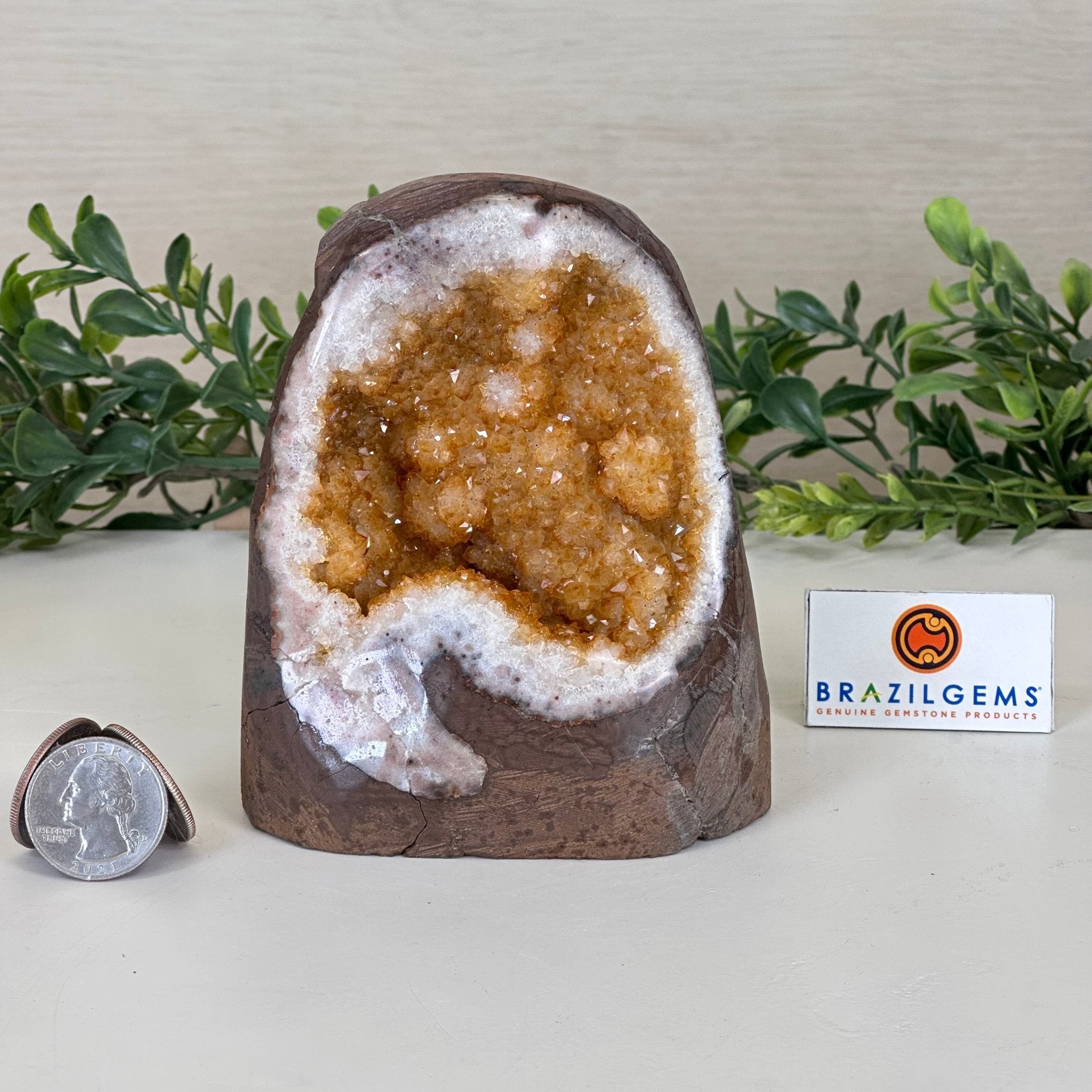 Extra Plus Quality Citrine Cluster w/ flat base, 4.5" Tall 5612 - 0230 - Brazil GemsBrazil GemsExtra Plus Quality Citrine Cluster w/ flat base, 4.5" Tall 5612 - 0230Small Clusters with Flat Bases5612 - 0230