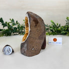 Extra Plus Quality Citrine Cluster w/ flat base, 4.5" Tall 5612 - 0230 - Brazil GemsBrazil GemsExtra Plus Quality Citrine Cluster w/ flat base, 4.5" Tall 5612 - 0230Small Clusters with Flat Bases5612 - 0230