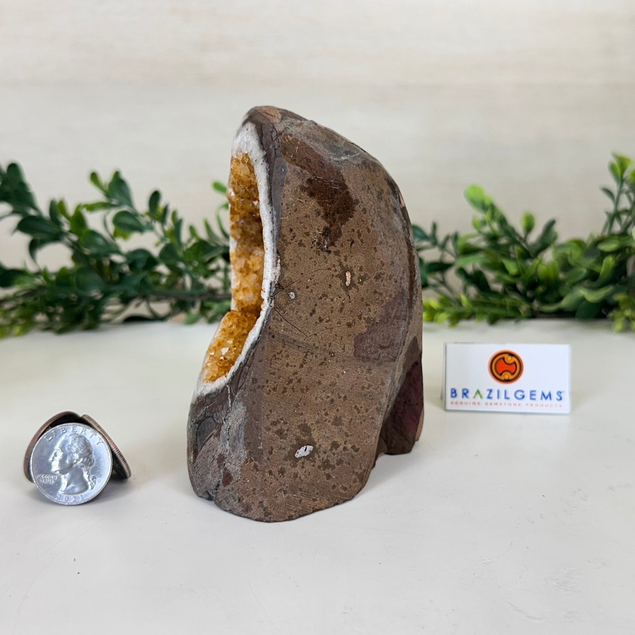 Extra Plus Quality Citrine Cluster w/ flat base, 4.5" Tall 5612 - 0230 - Brazil GemsBrazil GemsExtra Plus Quality Citrine Cluster w/ flat base, 4.5" Tall 5612 - 0230Small Clusters with Flat Bases5612 - 0230