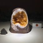 Extra Plus Quality Citrine Cluster w/ flat base, 4.5" Tall 5612 - 0230 - Brazil GemsBrazil GemsExtra Plus Quality Citrine Cluster w/ flat base, 4.5" Tall 5612 - 0230Small Clusters with Flat Bases5612 - 0230