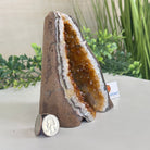 Extra Plus Quality Citrine Cluster w/ flat base, 5.4" Tall 5612 - 0234 - Brazil GemsBrazil GemsExtra Plus Quality Citrine Cluster w/ flat base, 5.4" Tall 5612 - 0234Small Clusters with Flat Bases5612 - 0234