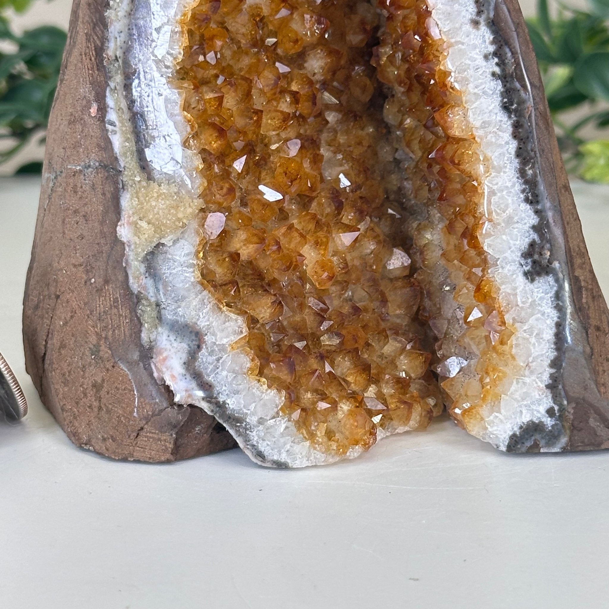 Extra Plus Quality Citrine Cluster w/ flat base, 5.4" Tall 5612 - 0234 - Brazil GemsBrazil GemsExtra Plus Quality Citrine Cluster w/ flat base, 5.4" Tall 5612 - 0234Small Clusters with Flat Bases5612 - 0234