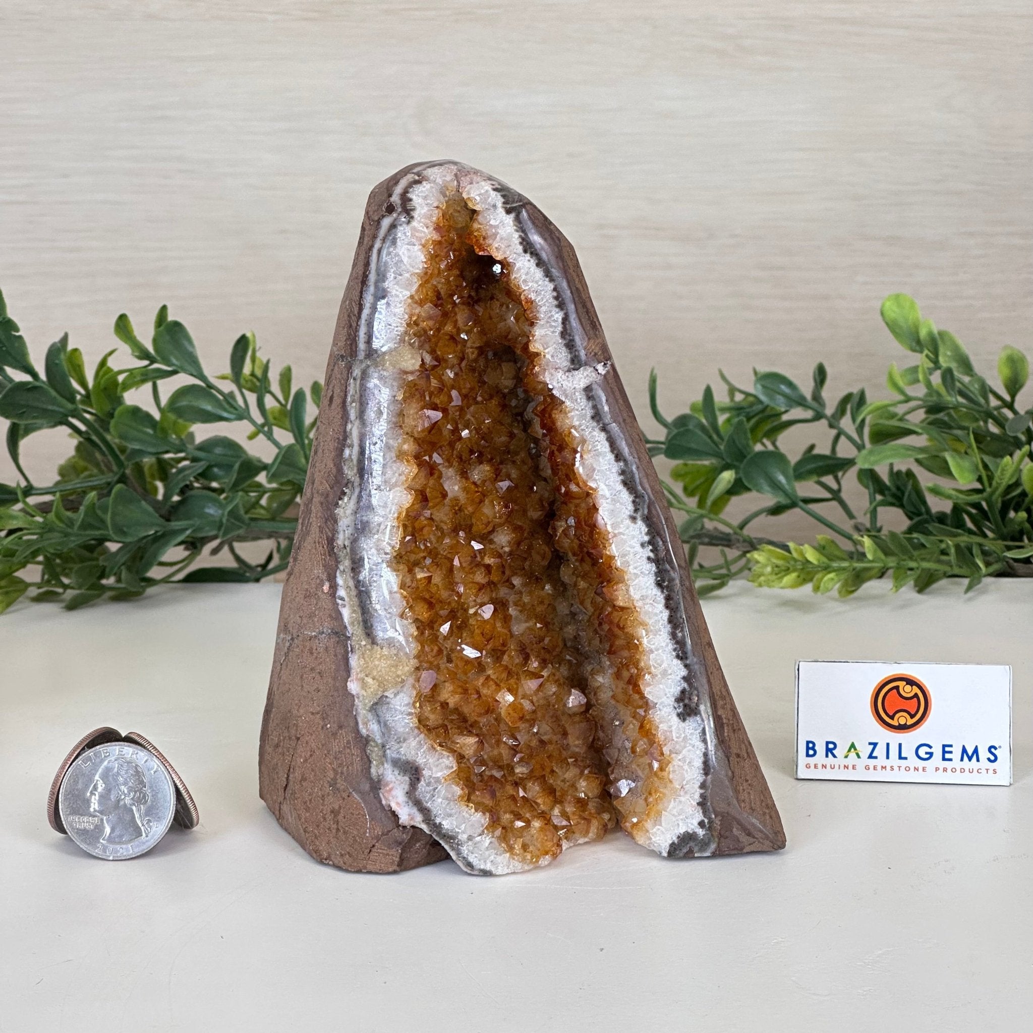 Extra Plus Quality Citrine Cluster w/ flat base, 5.4" Tall 5612 - 0234 - Brazil GemsBrazil GemsExtra Plus Quality Citrine Cluster w/ flat base, 5.4" Tall 5612 - 0234Small Clusters with Flat Bases5612 - 0234