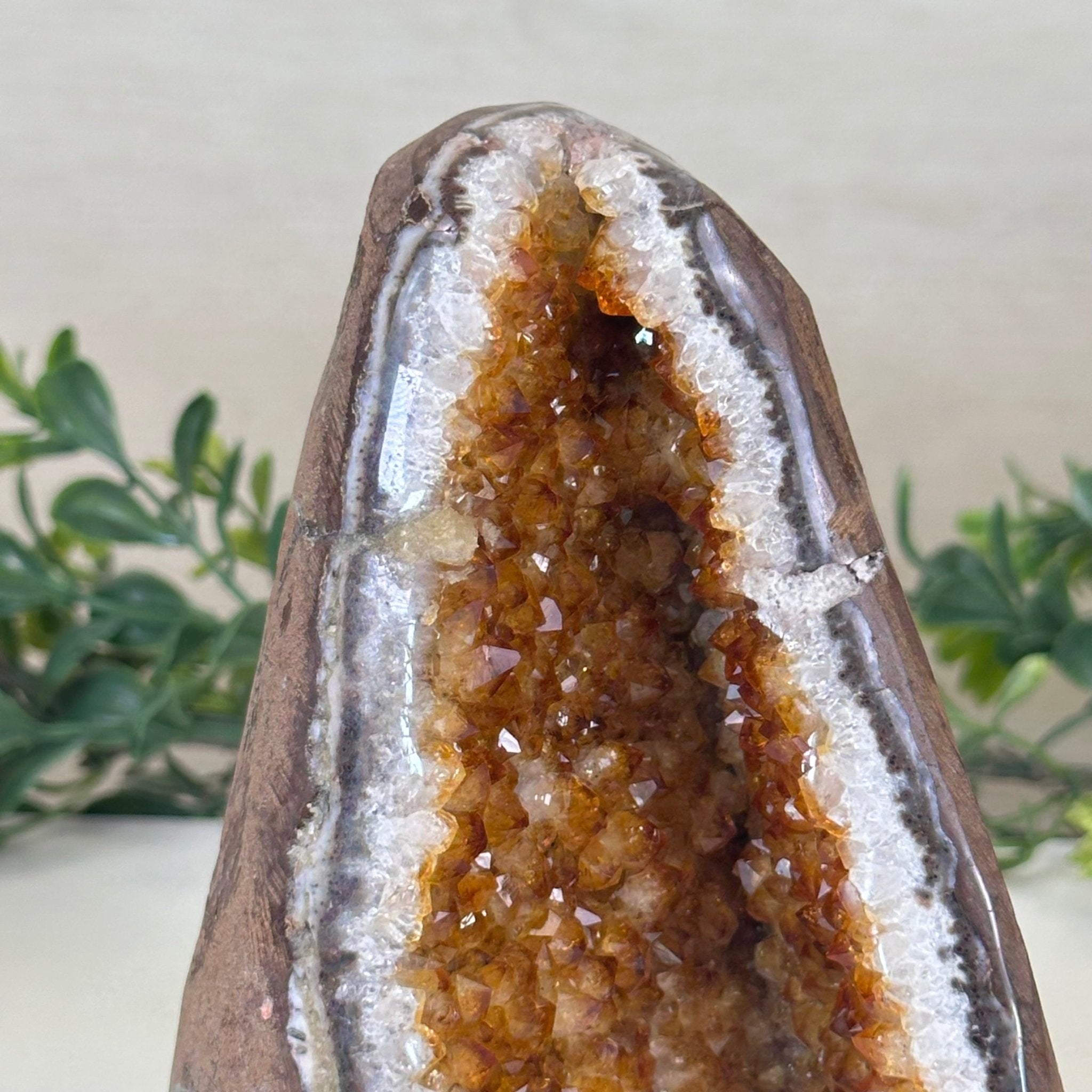 Extra Plus Quality Citrine Cluster w/ flat base, 5.4" Tall 5612 - 0234 - Brazil GemsBrazil GemsExtra Plus Quality Citrine Cluster w/ flat base, 5.4" Tall 5612 - 0234Small Clusters with Flat Bases5612 - 0234