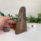 Extra Plus Quality Citrine Cluster w/ flat base, 5.4" Tall 5612 - 0234 - Brazil GemsBrazil GemsExtra Plus Quality Citrine Cluster w/ flat base, 5.4" Tall 5612 - 0234Small Clusters with Flat Bases5612 - 0234