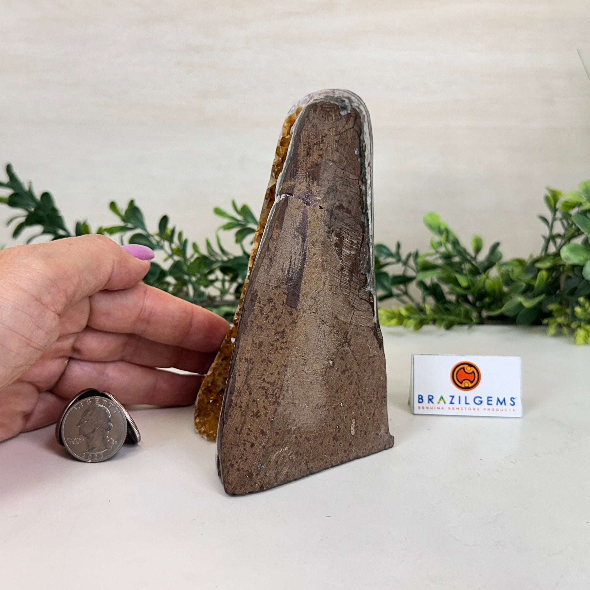 Extra Plus Quality Citrine Cluster w/ flat base, 5.4" Tall 5612 - 0234 - Brazil GemsBrazil GemsExtra Plus Quality Citrine Cluster w/ flat base, 5.4" Tall 5612 - 0234Small Clusters with Flat Bases5612 - 0234