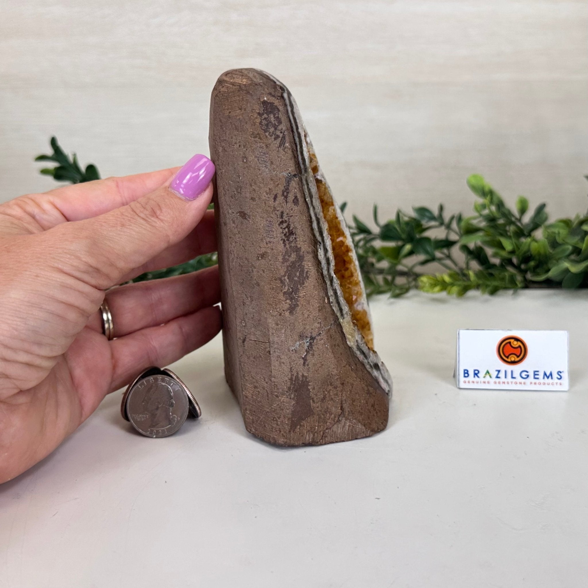 Extra Plus Quality Citrine Cluster w/ flat base, 5.4" Tall 5612 - 0234 - Brazil GemsBrazil GemsExtra Plus Quality Citrine Cluster w/ flat base, 5.4" Tall 5612 - 0234Small Clusters with Flat Bases5612 - 0234