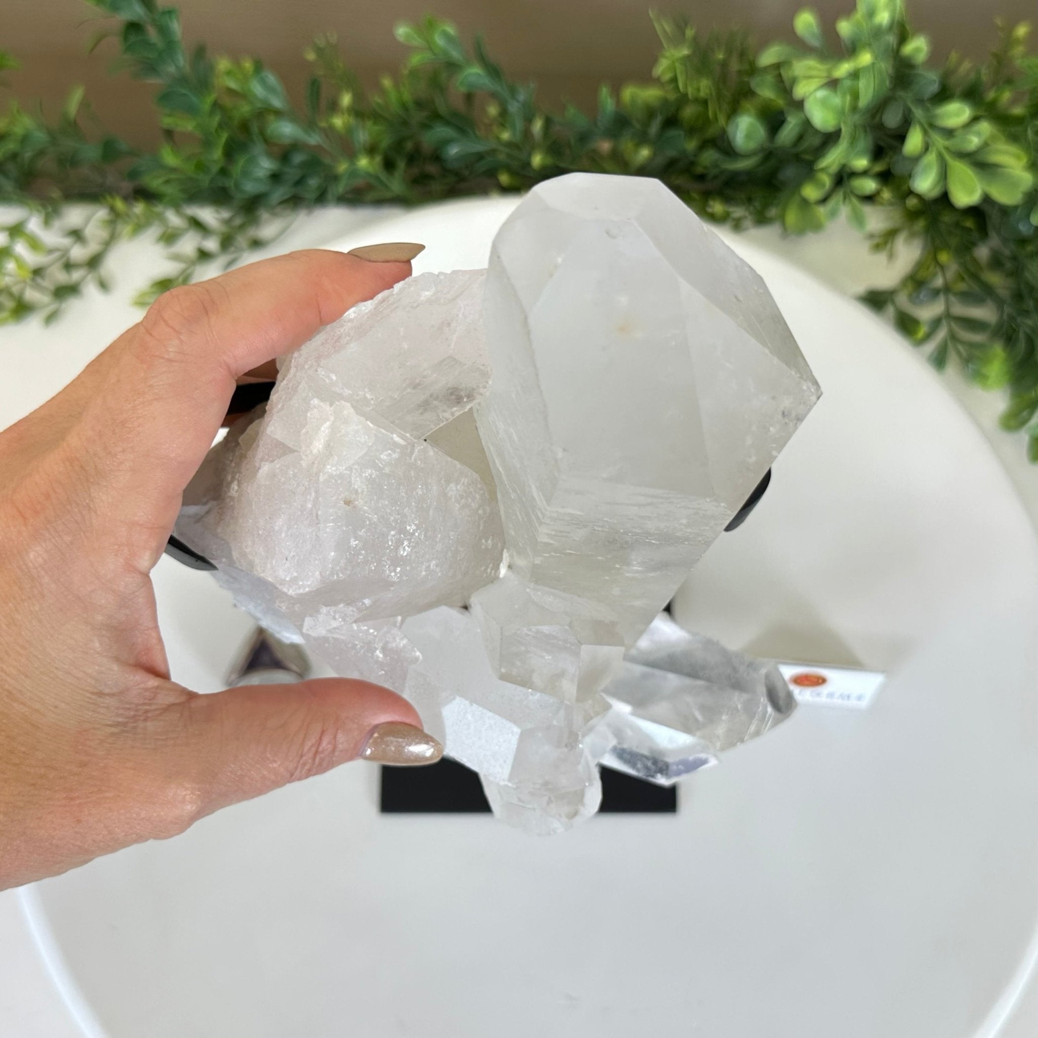 Extra Plus Quality Clear Quartz Point on a Metal Stand, 5.6 lbs & 11.2" Tall 3121CQ - 013 - Brazil GemsBrazil GemsExtra Plus Quality Clear Quartz Point on a Metal Stand, 5.6 lbs & 11.2" Tall 3121CQ - 013Crystal Points3121CQ - 013