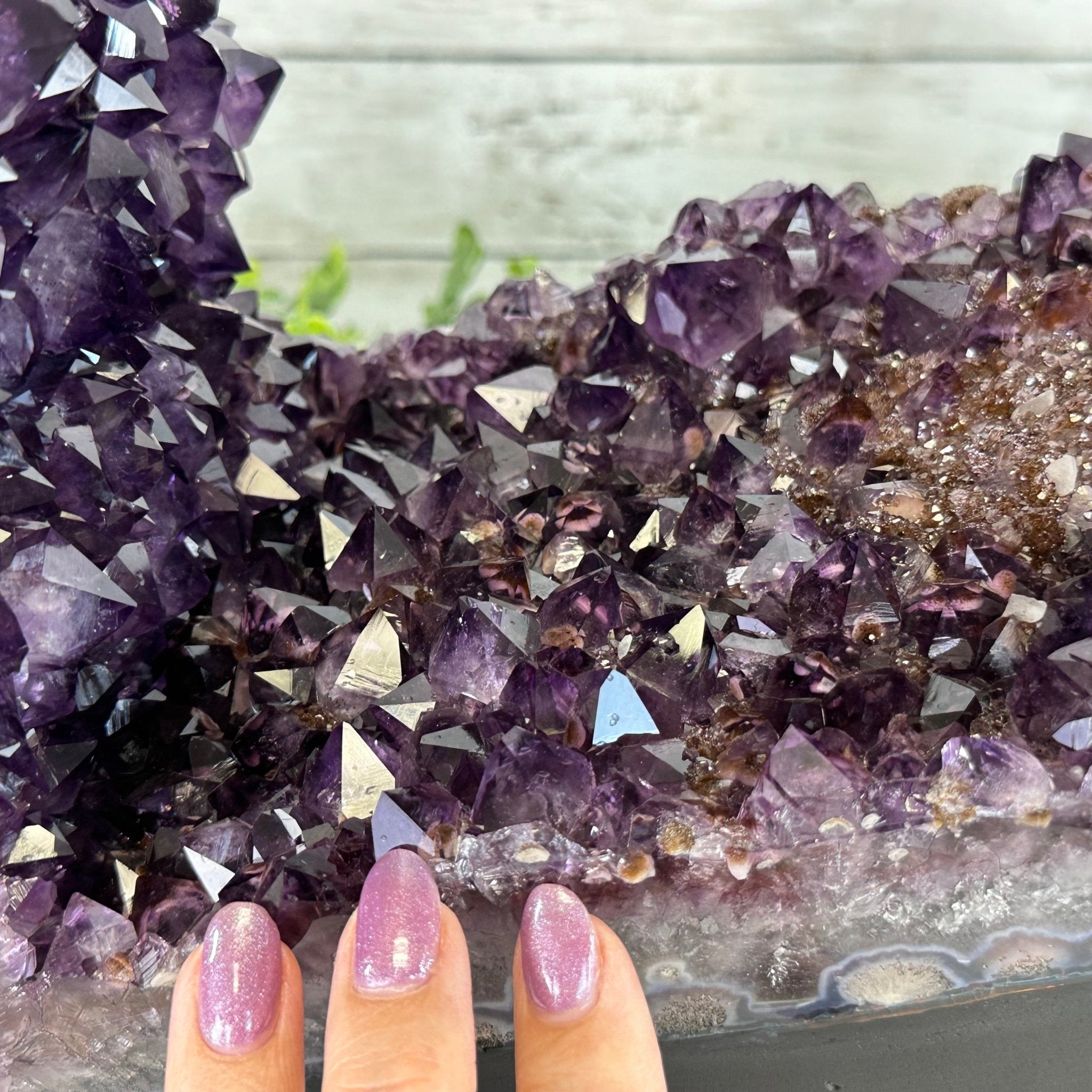 Extra Plus Quality Open 2 - Sided Amethyst Cathedral 72.8 lbs & 29.7" Tall #5605 - 0146 - Brazil GemsBrazil GemsExtra Plus Quality Open 2 - Sided Amethyst Cathedral 72.8 lbs & 29.7" Tall #5605 - 0146Open 2 - Sided Cathedrals5605 - 0146