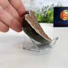 Extra Plus Quality Pink Amethyst Heart Geode on an Acrylic Stand, 0.37 lbs & 2.25" Tall #5462-0082 by Brazil Gems - Brazil GemsBrazil GemsExtra Plus Quality Pink Amethyst Heart Geode on an Acrylic Stand, 0.37 lbs & 2.25" Tall #5462-0082 by Brazil GemsHearts5462-0082