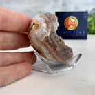 Extra Plus Quality Pink Amethyst Heart Geode on an Acrylic Stand, 0.37 lbs & 2.5" Tall #5462PK-001 by Brazil Gems - Brazil GemsBrazil GemsExtra Plus Quality Pink Amethyst Heart Geode on an Acrylic Stand, 0.37 lbs & 2.5" Tall #5462PK-001 by Brazil GemsHearts5462PK-001