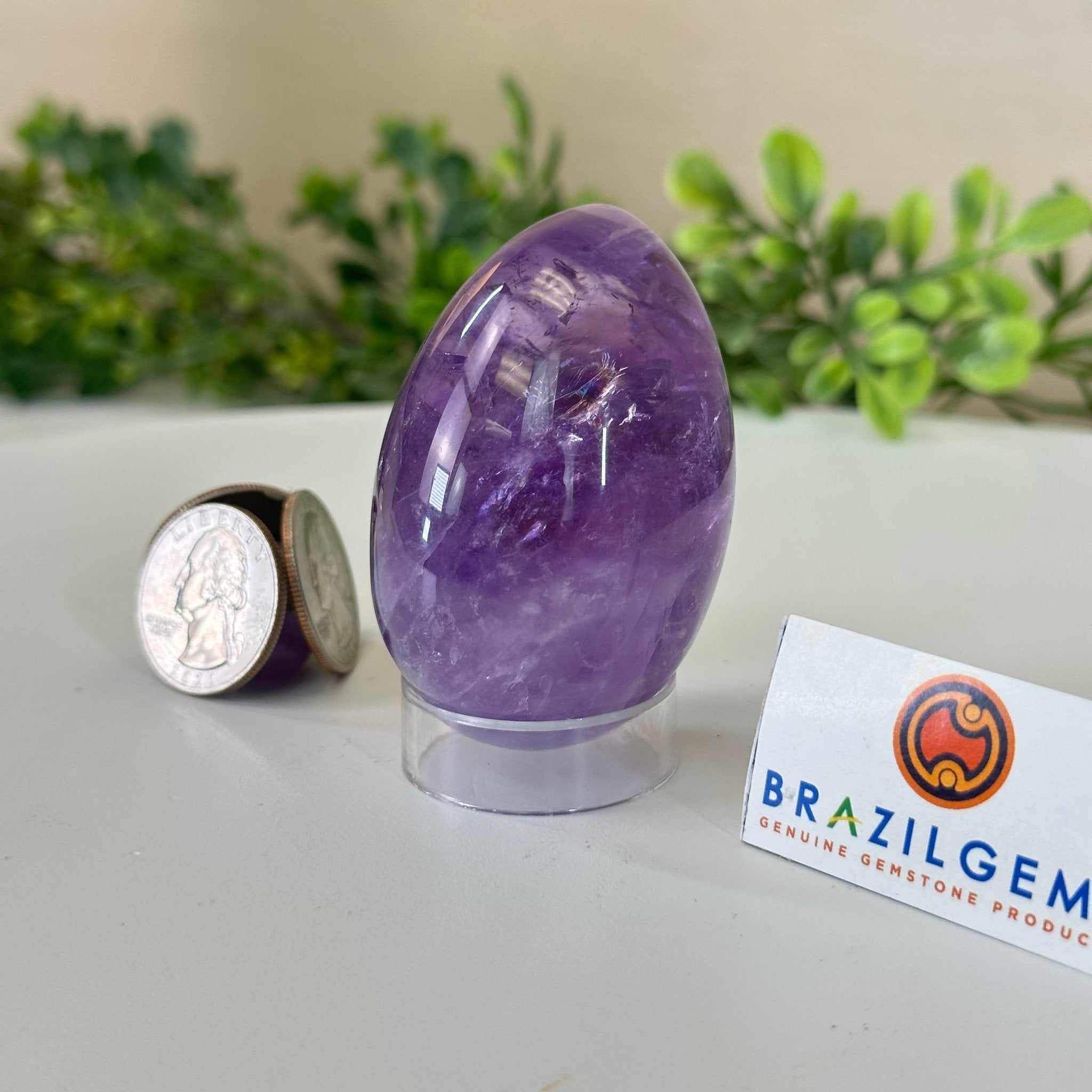 Extra Plus Quality Polished Amethyst Egg w/ Acrylic Stand, 2.6” Tall #3995AM - 001 - Brazil GemsBrazil GemsExtra Plus Quality Polished Amethyst Egg w/ Acrylic Stand, 2.6” Tall #3995AM - 001Freeform & Unique Shapes3995AM - 001
