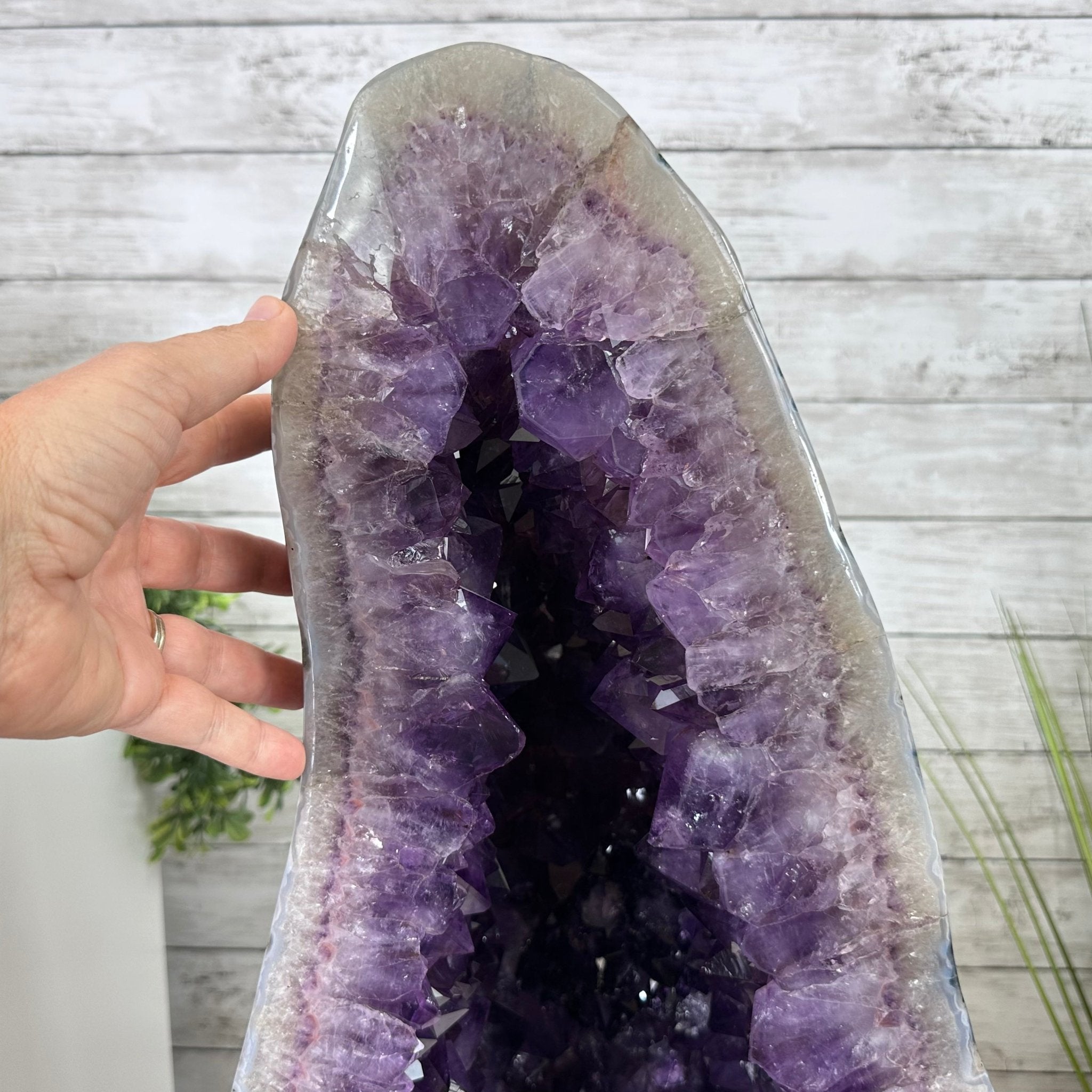 Extra Plus Quality Polished Brazilian Amethyst Cathedral, 103.7 lbs & 23" tall Model #5602-0061 by Brazil Gems - Brazil GemsBrazil GemsExtra Plus Quality Polished Brazilian Amethyst Cathedral, 103.7 lbs & 23" tall Model #5602-0061 by Brazil GemsPolished Cathedrals5602-0061