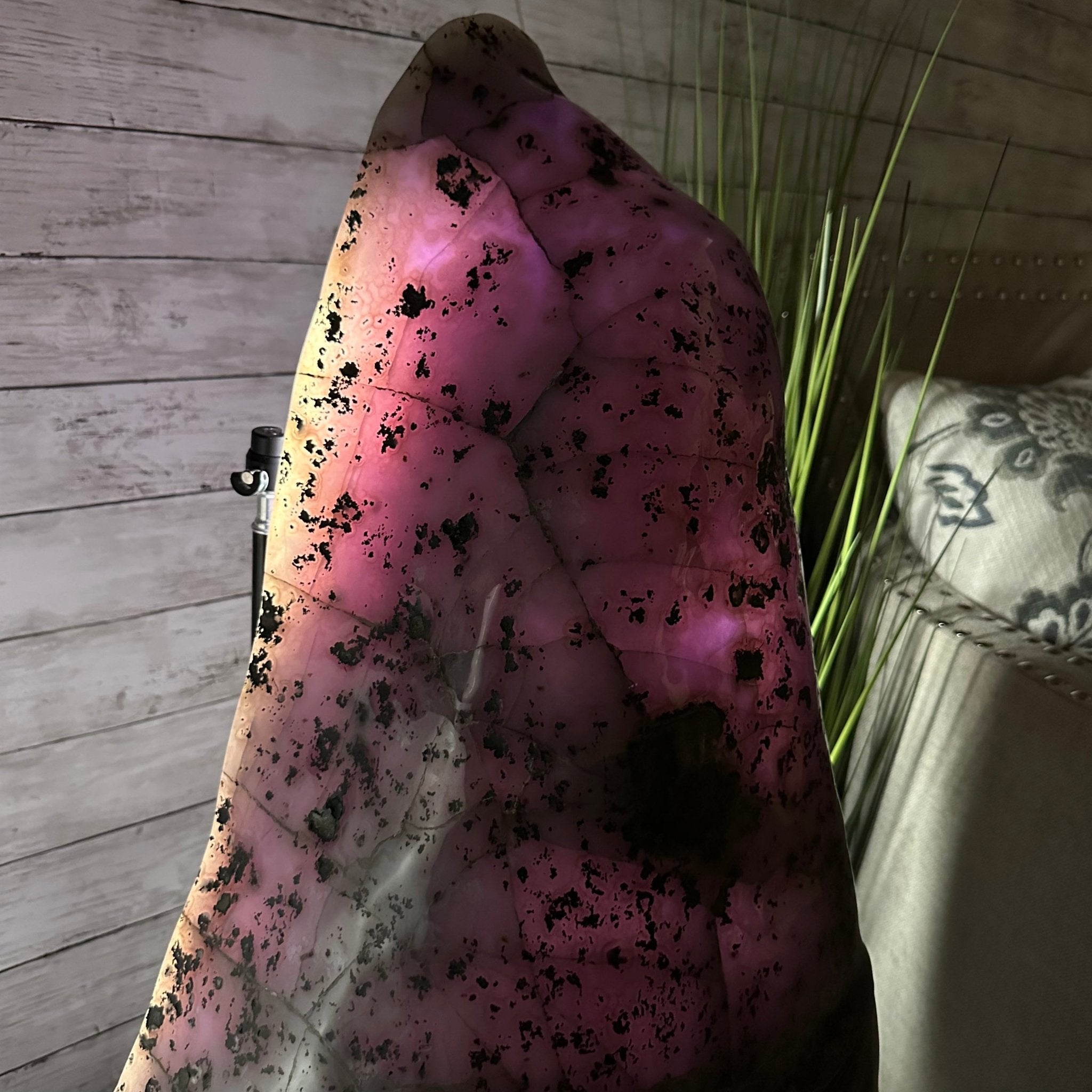 Extra Plus Quality Polished Brazilian Amethyst Cathedral, 103.7 lbs & 23" tall Model #5602-0061 by Brazil Gems - Brazil GemsBrazil GemsExtra Plus Quality Polished Brazilian Amethyst Cathedral, 103.7 lbs & 23" tall Model #5602-0061 by Brazil GemsPolished Cathedrals5602-0061