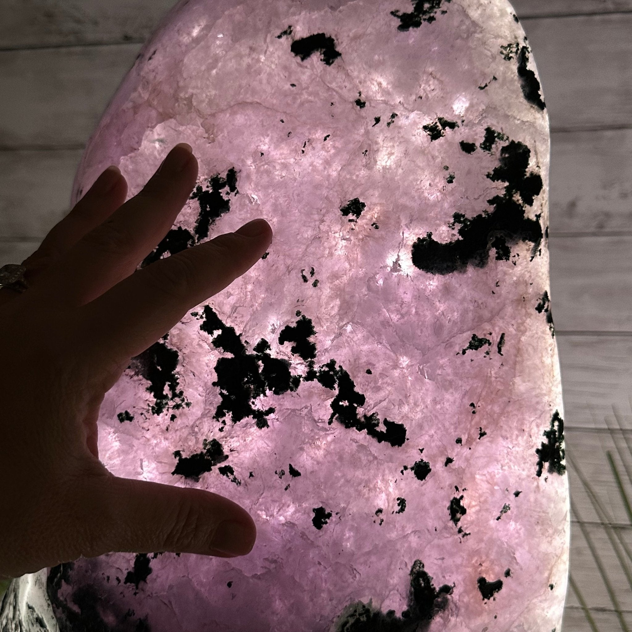 Extra Plus Quality Polished Brazilian Amethyst Cathedral, 115.9 lbs & 26.25" tall Model #5602-0065 by Brazil Gems - Brazil GemsBrazil GemsExtra Plus Quality Polished Brazilian Amethyst Cathedral, 115.9 lbs & 26.25" tall Model #5602-0065 by Brazil GemsPolished Cathedrals5602-0065