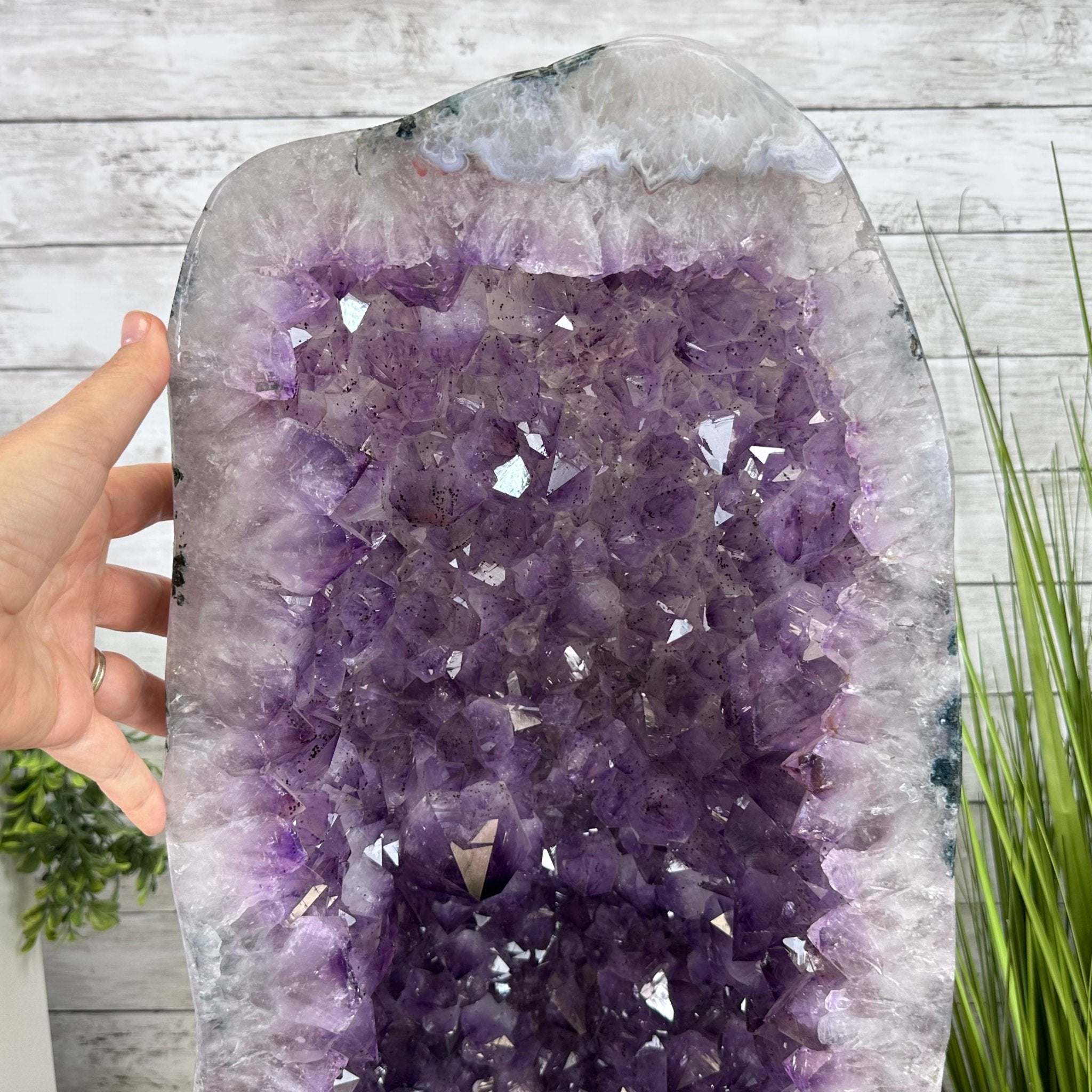 Extra Plus Quality Polished Brazilian Amethyst Cathedral, 115.9 lbs & 26.25" tall Model #5602-0065 by Brazil Gems - Brazil GemsBrazil GemsExtra Plus Quality Polished Brazilian Amethyst Cathedral, 115.9 lbs & 26.25" tall Model #5602-0065 by Brazil GemsPolished Cathedrals5602-0065