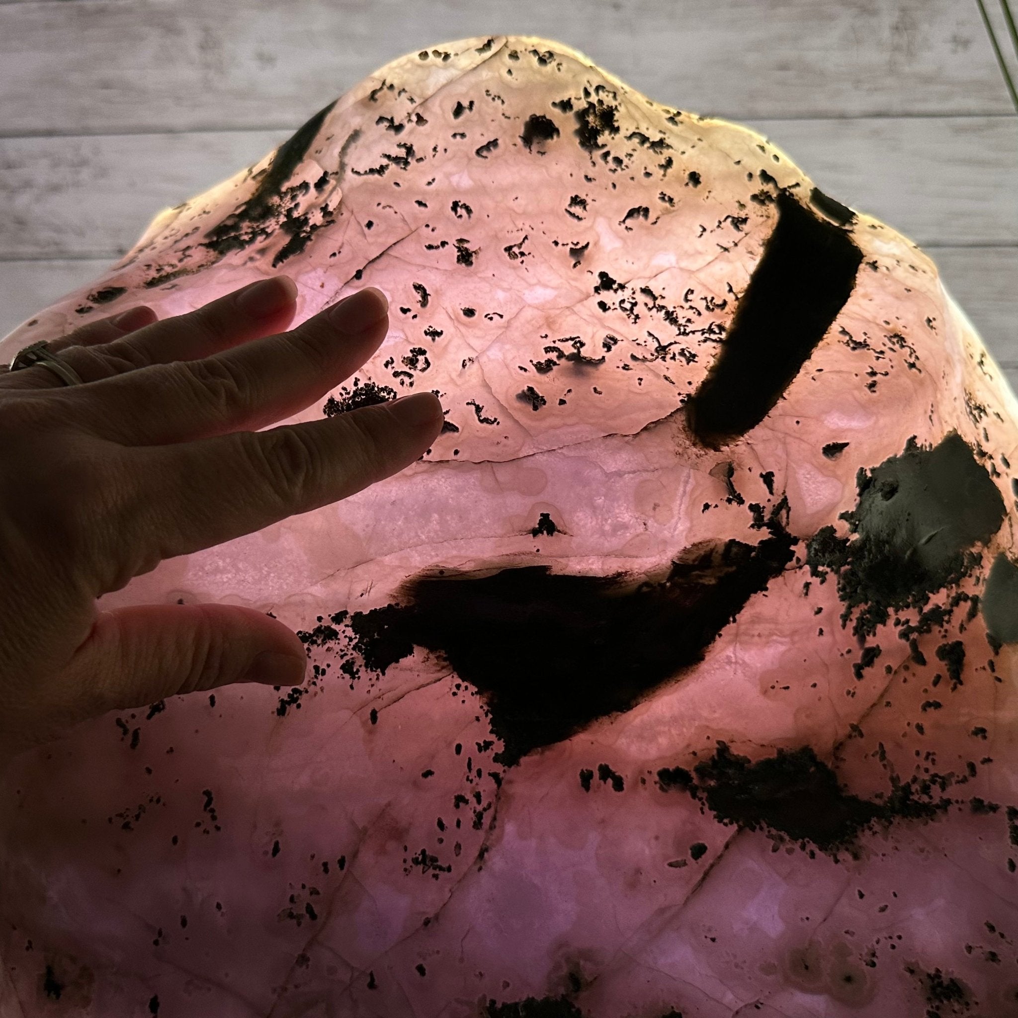 Extra Plus Quality Polished Brazilian Amethyst Cathedral, 186.8 lbs & 20.8" tall Model #5602-0185 by Brazil Gems - Brazil GemsBrazil GemsExtra Plus Quality Polished Brazilian Amethyst Cathedral, 186.8 lbs & 20.8" tall Model #5602-0185 by Brazil GemsPolished Cathedrals5602-0185