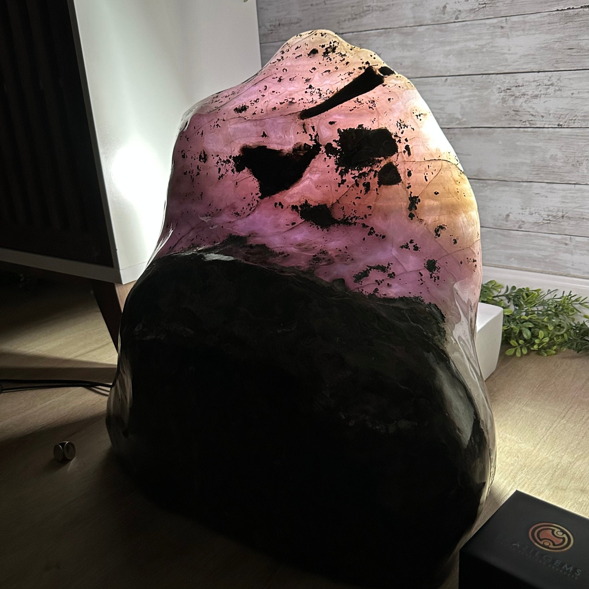 Extra Plus Quality Polished Brazilian Amethyst Cathedral, 186.8 lbs & 20.8" tall Model #5602-0185 by Brazil Gems - Brazil GemsBrazil GemsExtra Plus Quality Polished Brazilian Amethyst Cathedral, 186.8 lbs & 20.8" tall Model #5602-0185 by Brazil GemsPolished Cathedrals5602-0185