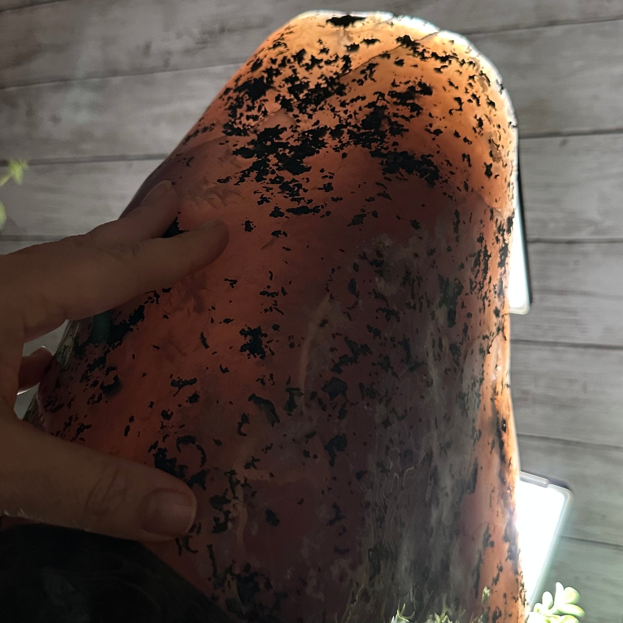 Extra Plus Quality Polished Brazilian Amethyst Cathedral, 46.6 lbs & 15.75" tall Model #5602-0193 by Brazil Gems - Brazil GemsBrazil GemsExtra Plus Quality Polished Brazilian Amethyst Cathedral, 46.6 lbs & 15.75" tall Model #5602-0193 by Brazil GemsPolished Cathedrals5602-0193