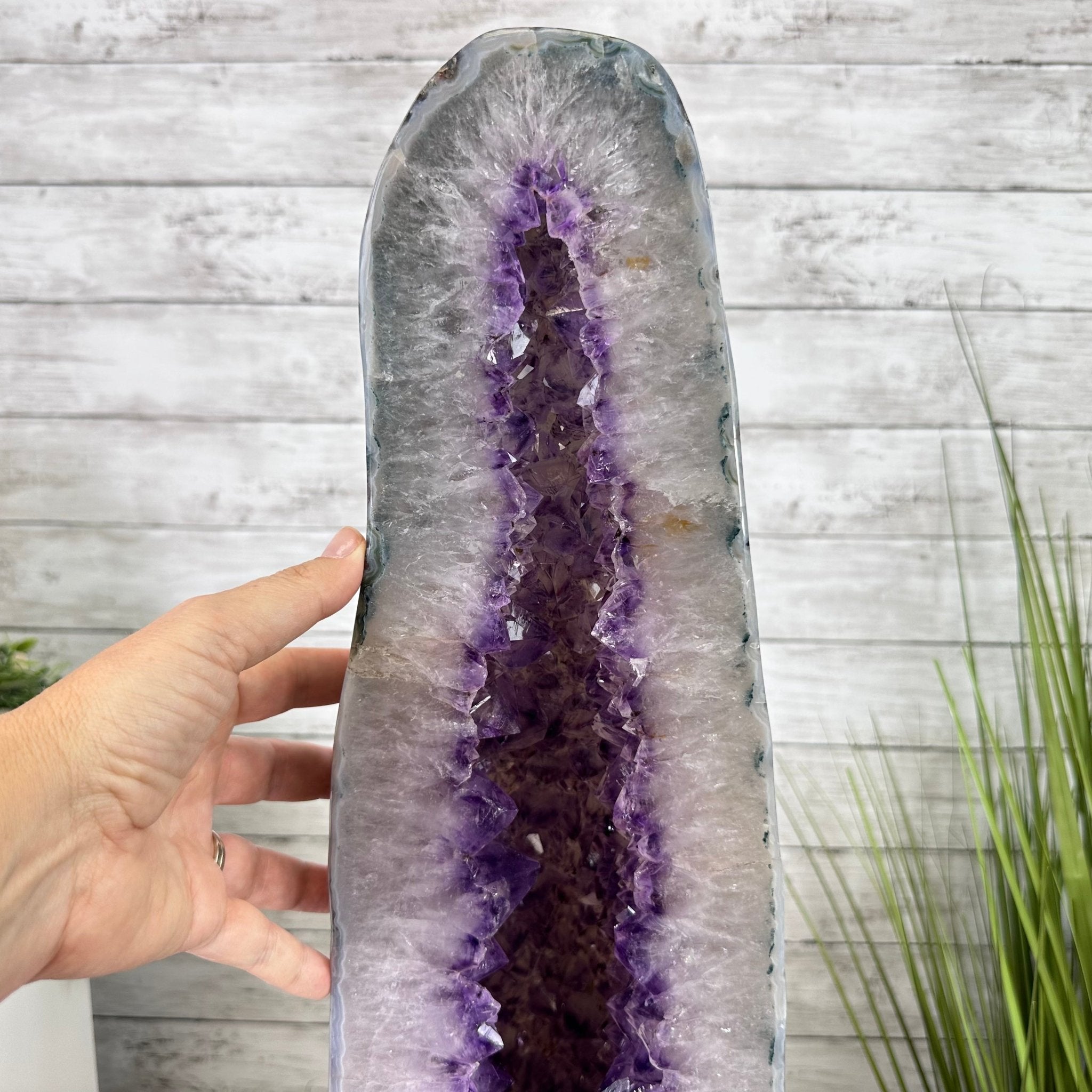 Extra Plus Quality Polished Brazilian Amethyst Cathedral, 69.6 lbs & 27.3" tall Model #5602-0120 by Brazil Gems - Brazil GemsBrazil GemsExtra Plus Quality Polished Brazilian Amethyst Cathedral, 69.6 lbs & 27.3" tall Model #5602-0120 by Brazil GemsPolished Cathedrals5602-0120