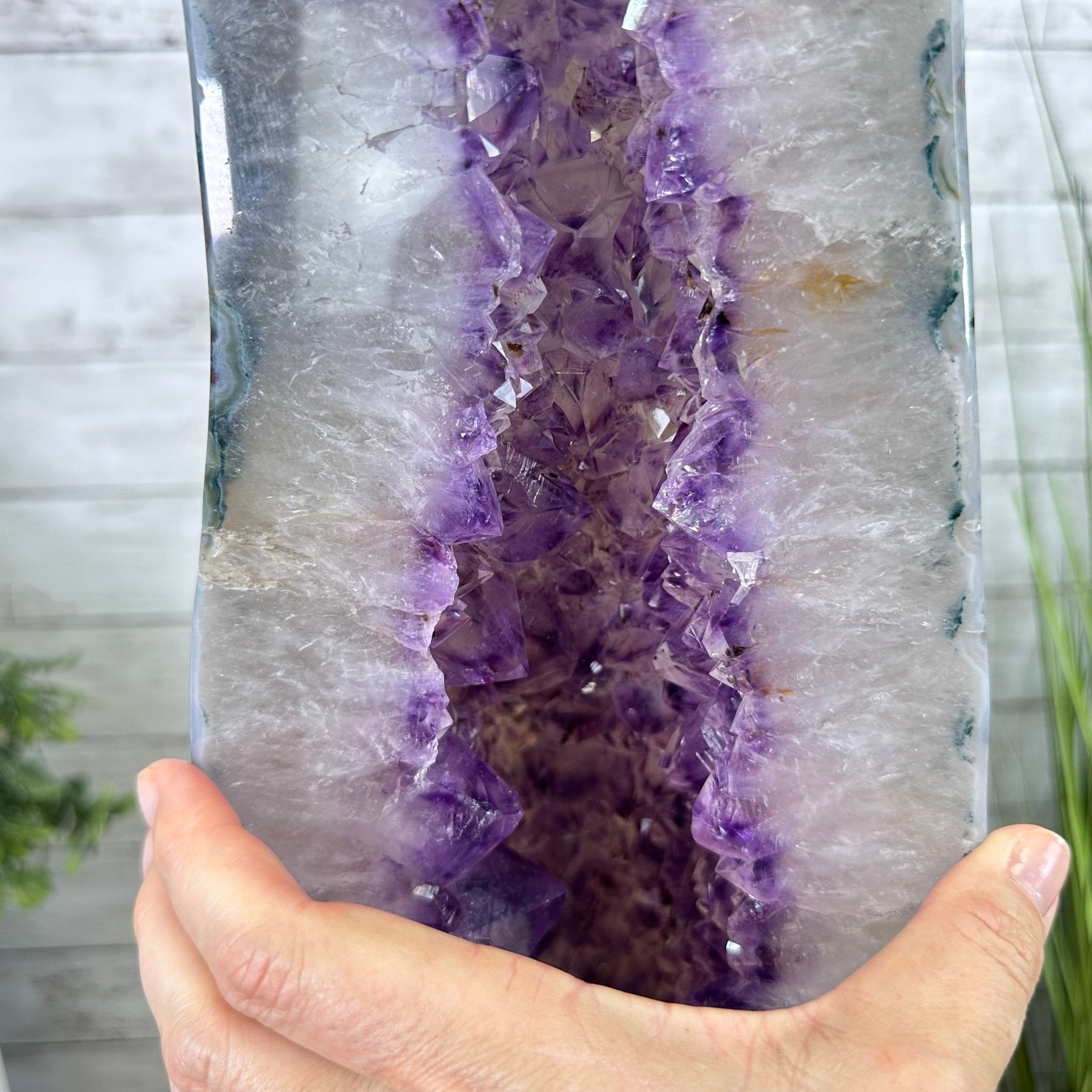 Extra Plus Quality Polished Brazilian Amethyst Cathedral, 69.6 lbs & 27.3" tall Model #5602-0120 by Brazil Gems - Brazil GemsBrazil GemsExtra Plus Quality Polished Brazilian Amethyst Cathedral, 69.6 lbs & 27.3" tall Model #5602-0120 by Brazil GemsPolished Cathedrals5602-0120