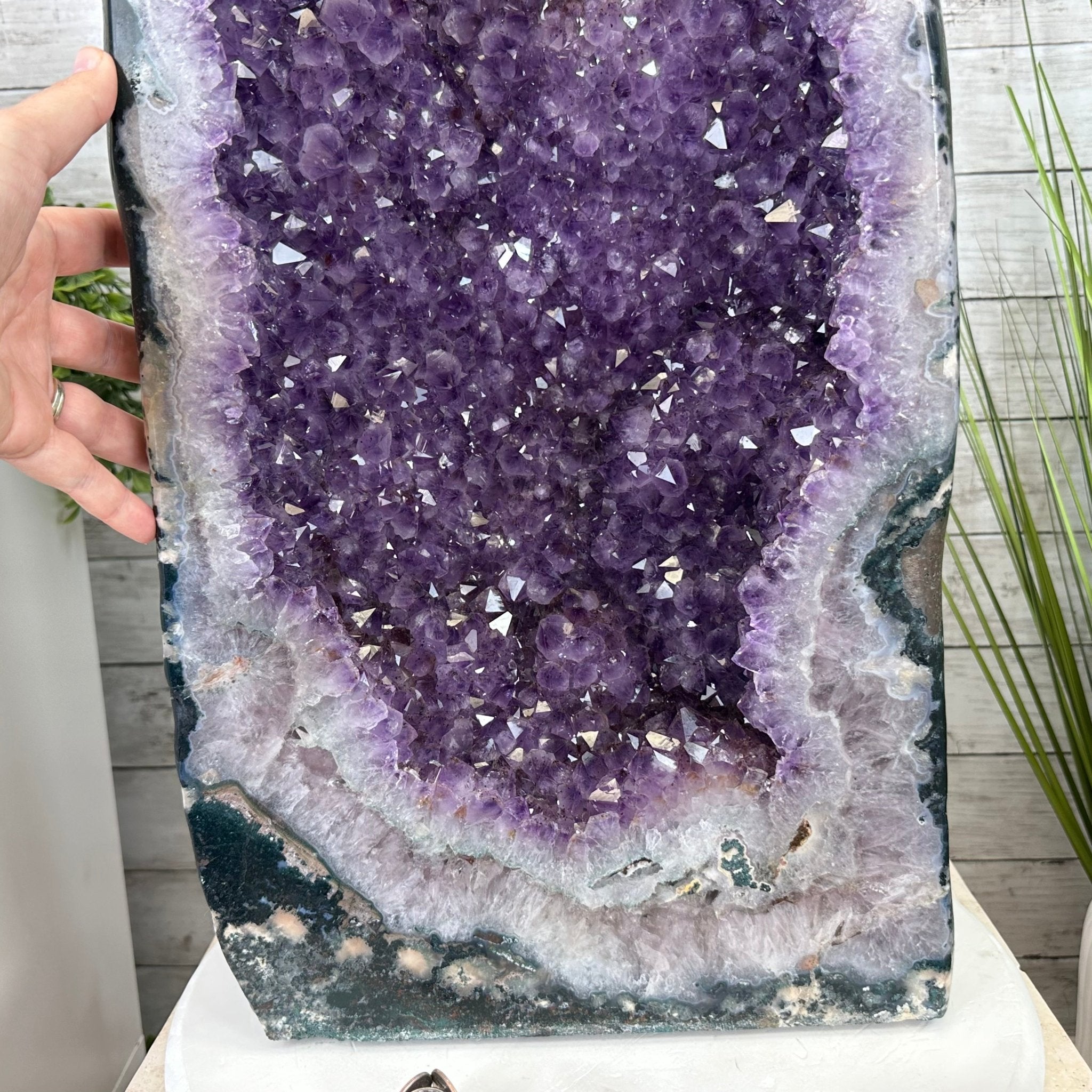Extra Plus Quality Polished Brazilian Amethyst Cathedral, 96.2 lbs & 27.75" tall Model #5602-0057 by Brazil Gems - Brazil GemsBrazil GemsExtra Plus Quality Polished Brazilian Amethyst Cathedral, 96.2 lbs & 27.75" tall Model #5602-0057 by Brazil GemsPolished Cathedrals5602-0057