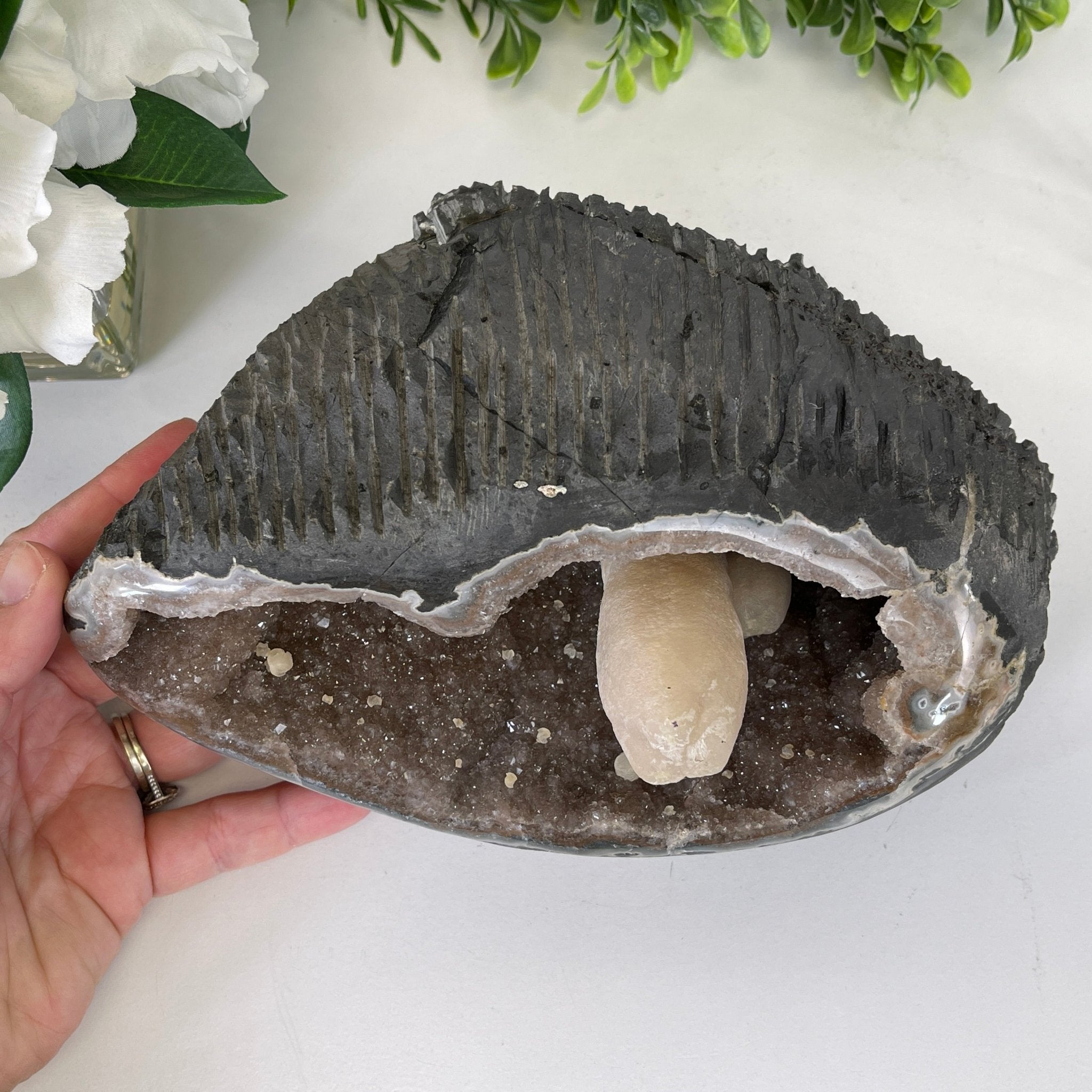 Extra Plus Quality Unique Uruguayan Amethyst Geode, 3.75” tall & 6.6 lbs #5520-0013 by Brazil Gems - Brazil GemsBrazil GemsExtra Plus Quality Unique Uruguayan Amethyst Geode, 3.75” tall & 6.6 lbs #5520-0013 by Brazil GemsClusters: Unique & Freeform5520-0013