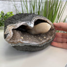 Extra Plus Quality Unique Uruguayan Amethyst Geode, 3.75” tall & 6.6 lbs #5520-0013 by Brazil Gems - Brazil GemsBrazil GemsExtra Plus Quality Unique Uruguayan Amethyst Geode, 3.75” tall & 6.6 lbs #5520-0013 by Brazil GemsClusters: Unique & Freeform5520-0013