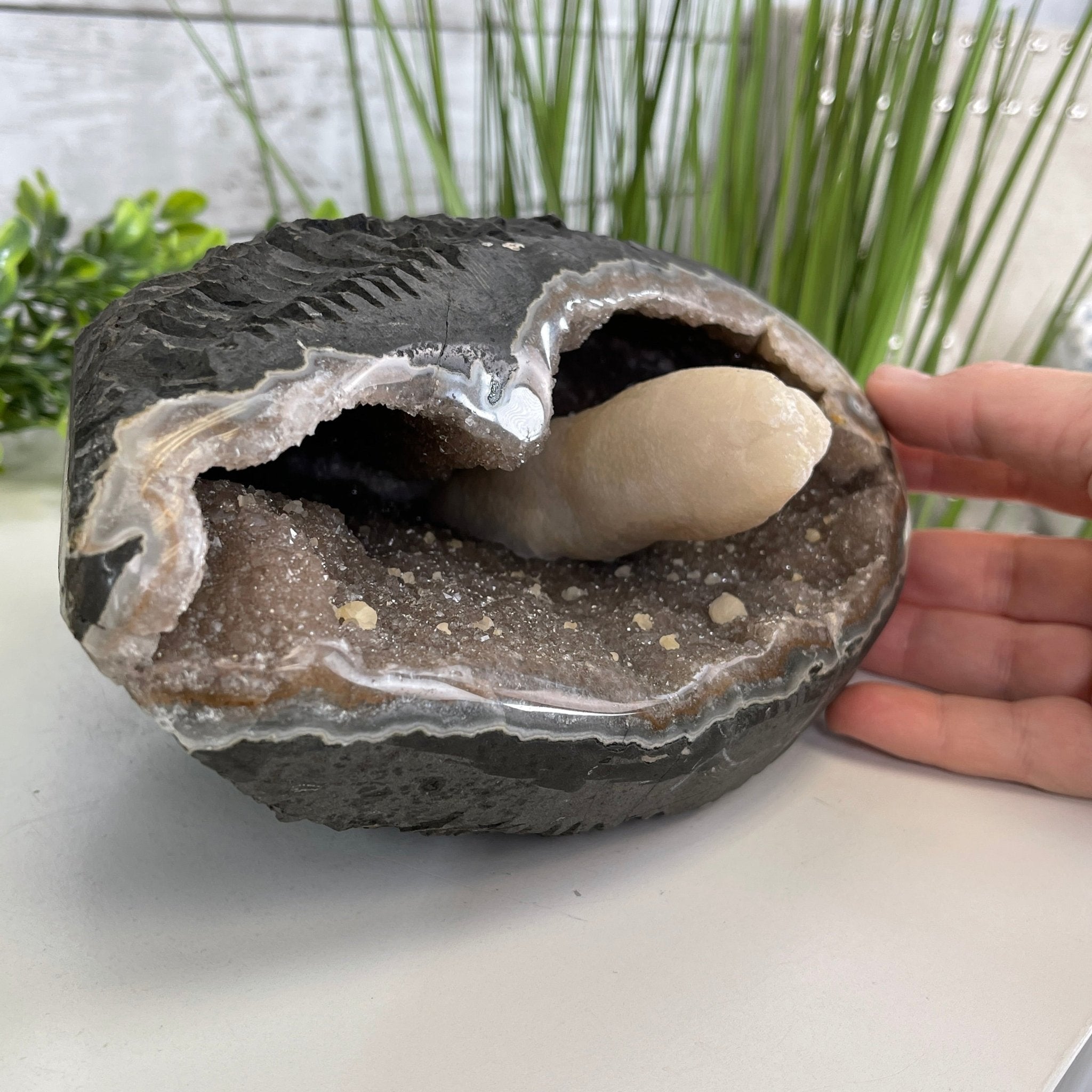 Extra Plus Quality Unique Uruguayan Amethyst Geode, 3.75” tall & 6.6 lbs #5520-0013 by Brazil Gems - Brazil GemsBrazil GemsExtra Plus Quality Unique Uruguayan Amethyst Geode, 3.75” tall & 6.6 lbs #5520-0013 by Brazil GemsClusters: Unique & Freeform5520-0013